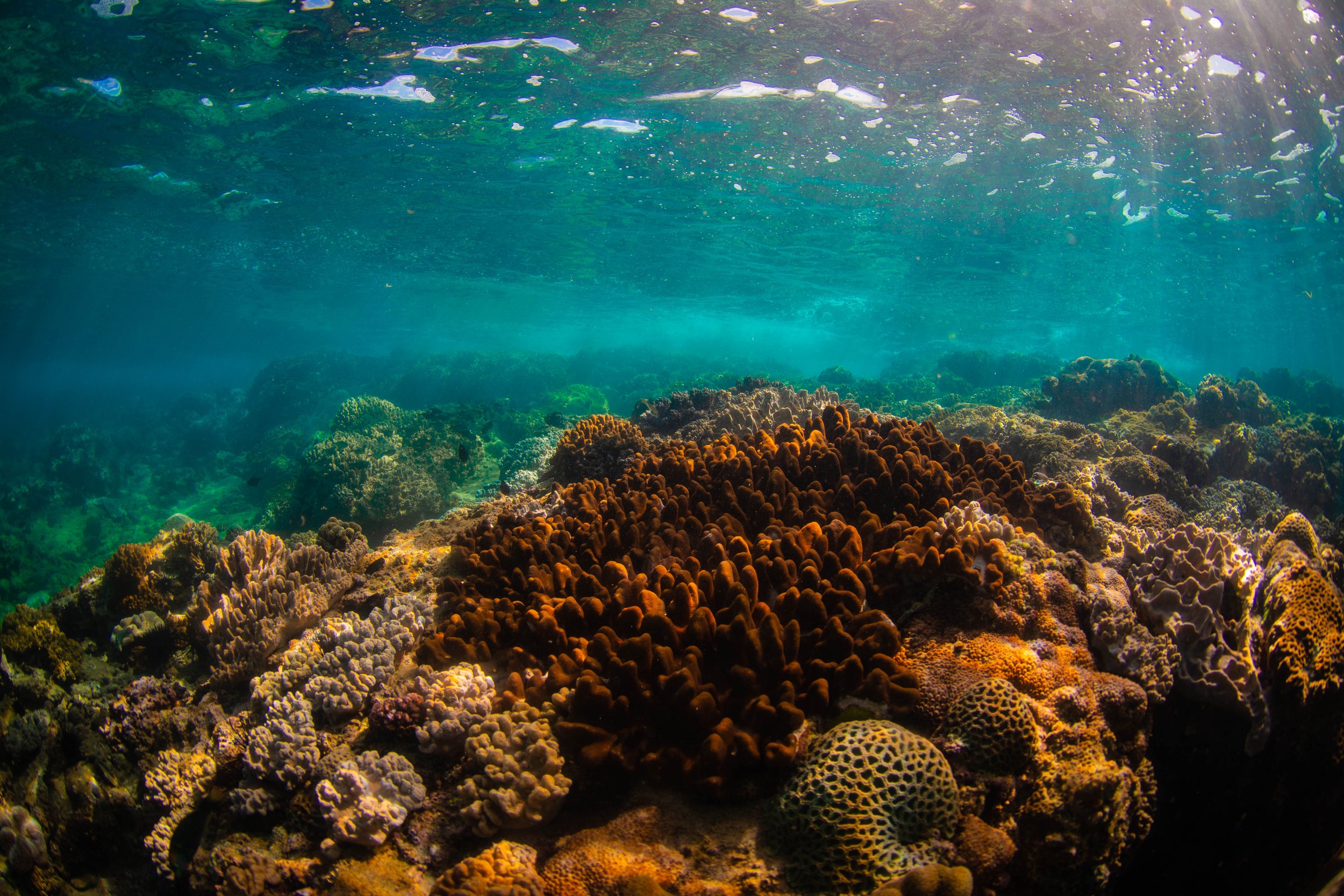 DSC_9912 (2)_Franceca Trotman.jpg