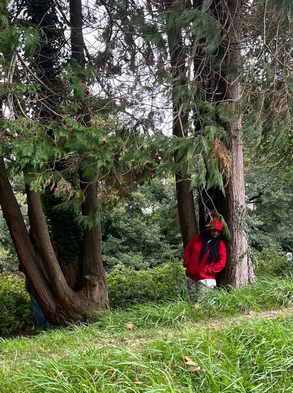 nature therapy with trees