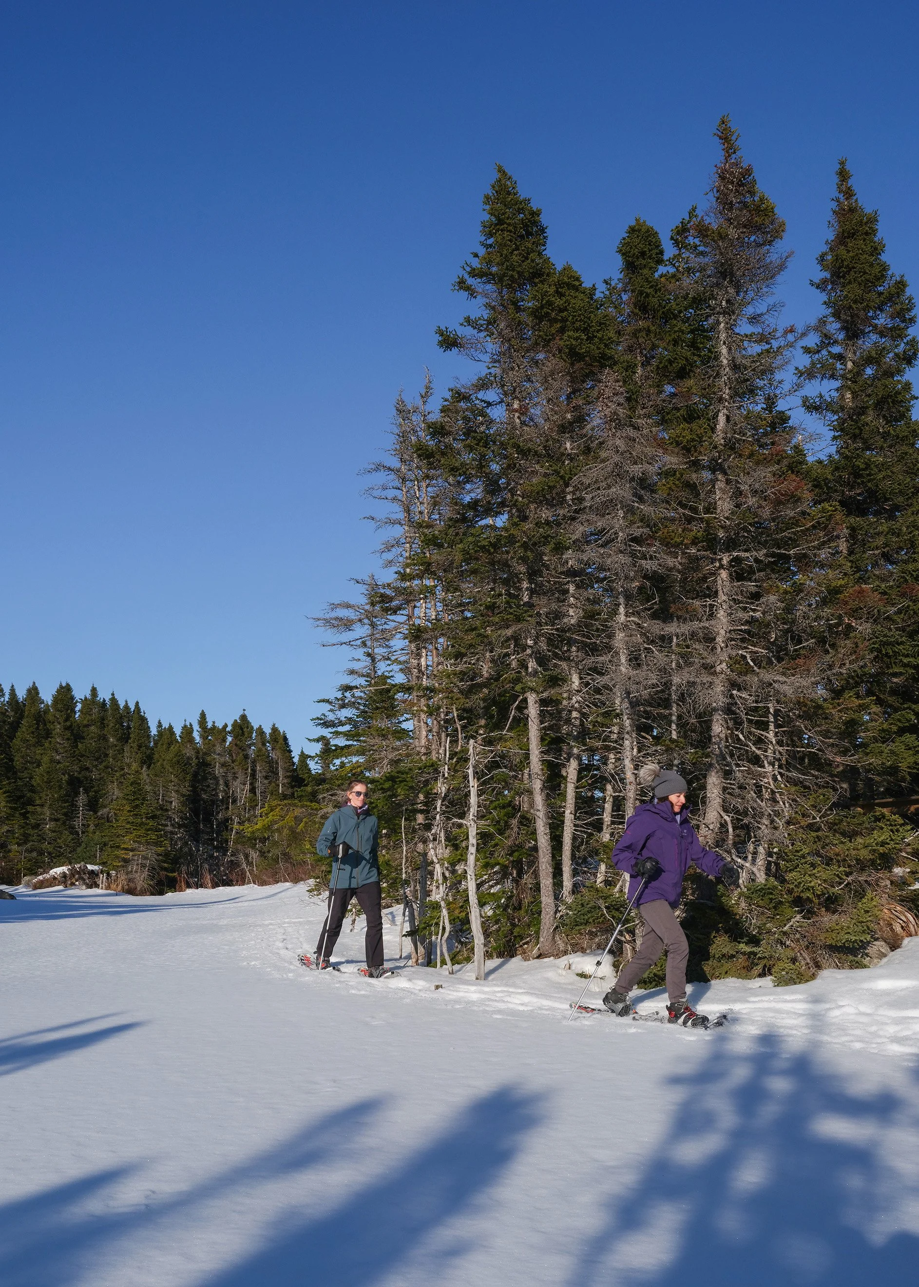 Fogo-Island-Inn-Activities_Snowshoeing_3.jpg