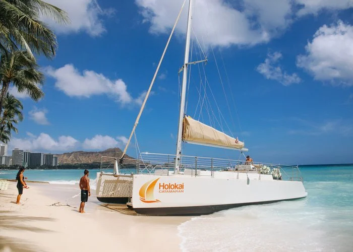 ourtrigger-reef-waikiki-beach-resort-catamaran.jpg