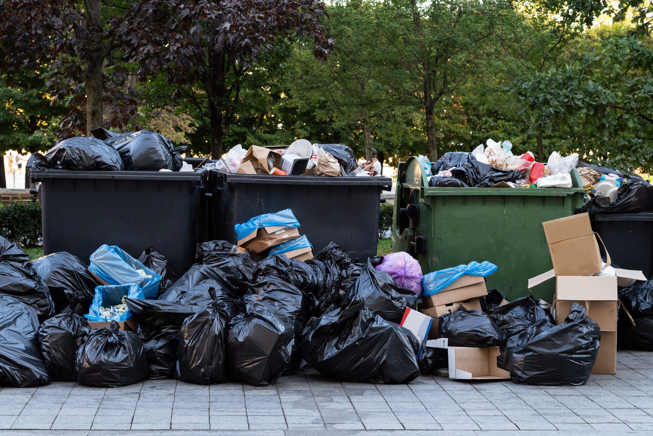 Reduce Your Daily Waste Contribution With 3 Easy Steps