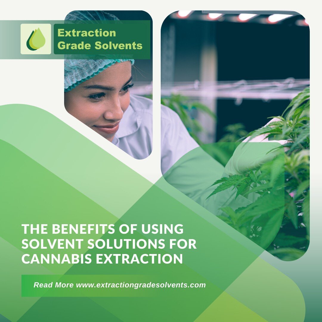 Gain valuable insights about the different kinds of methods for cannabis extraction with us today! Click the link below to learn more.

Read more: https://extractiongradesolvents.com/cannabis-extraction/