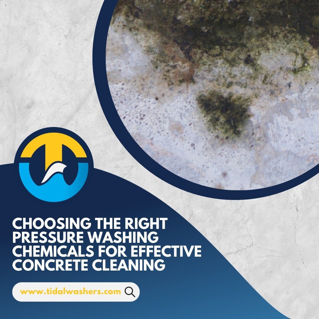 On your next industrial project, remove stains with ease by choosing the right pressure washing chemicals for concrete. Click the link below to learn more! #tw #eco

Read more: https://tidalwashers.com/pressure-washing-chemicals-for-concrete