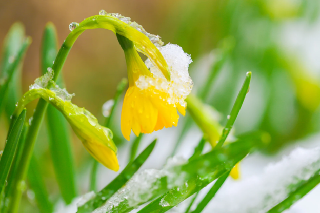 Why Spring Weather Triggers Headaches (and What You Can Do About It)