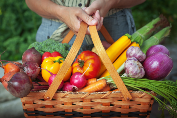 Embracing the Transition: Eating Well Through Late Summer and Early Fall