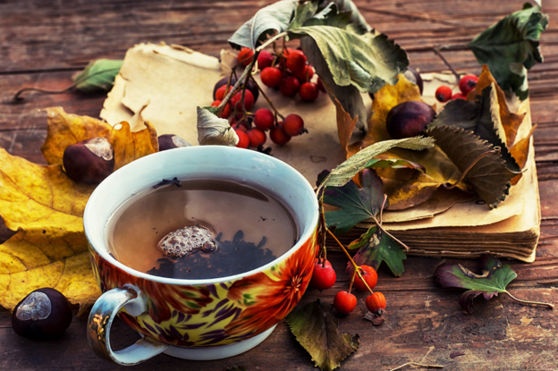 The Fall Apothecary:&nbsp; Herbs to Warm, Nourish &amp; Support