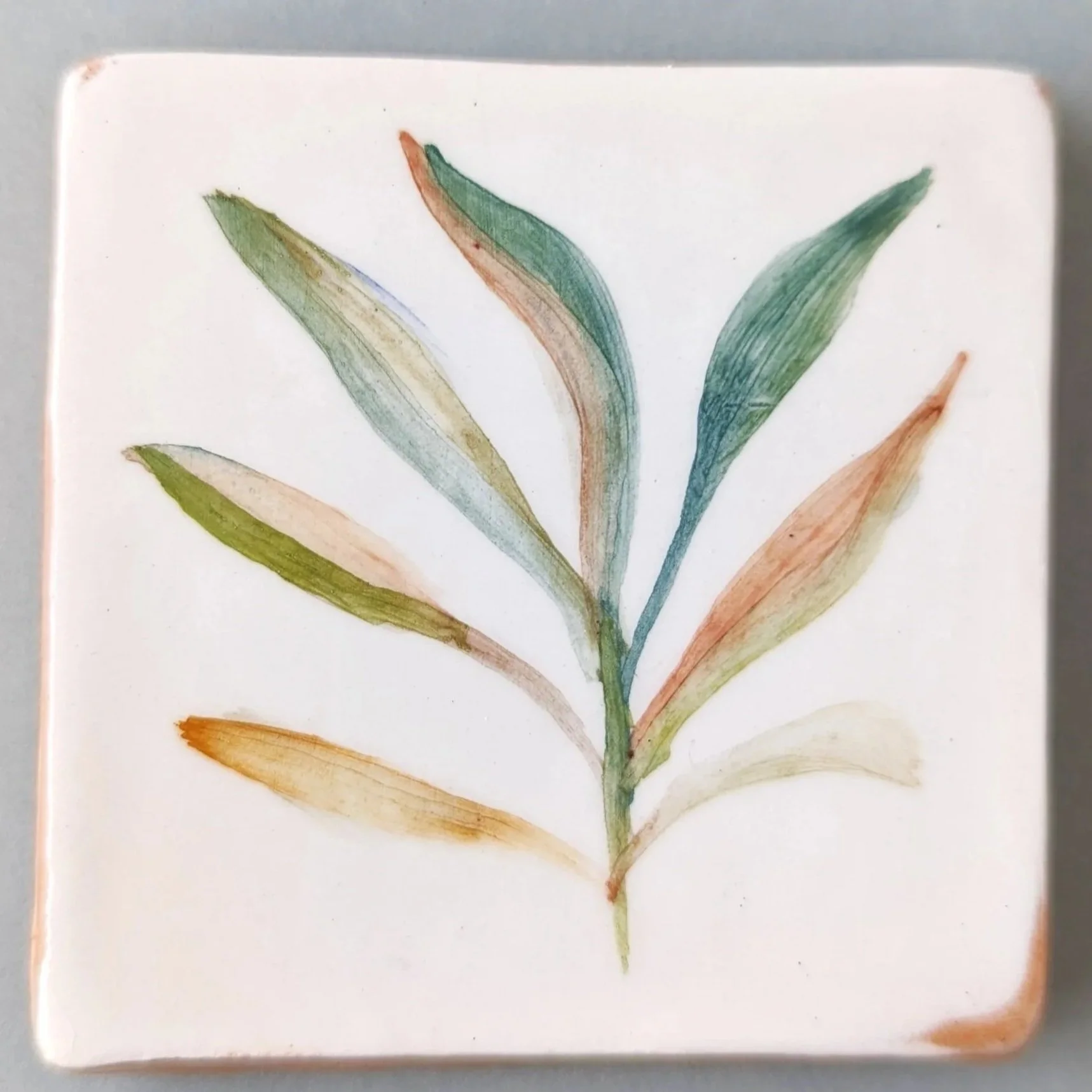 Eleanor_Meredith_leaf.jpg