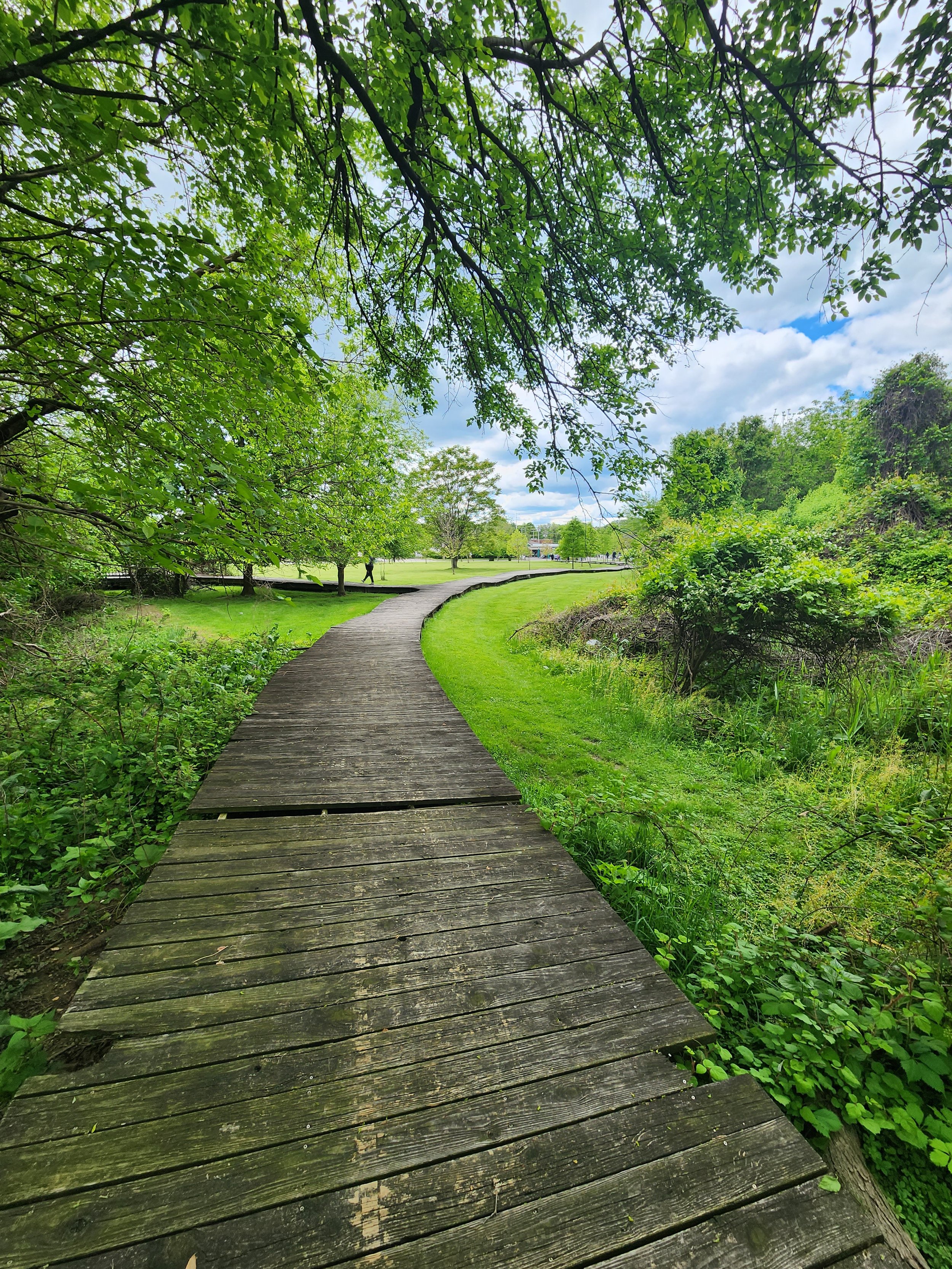 Westport & Smith Cove