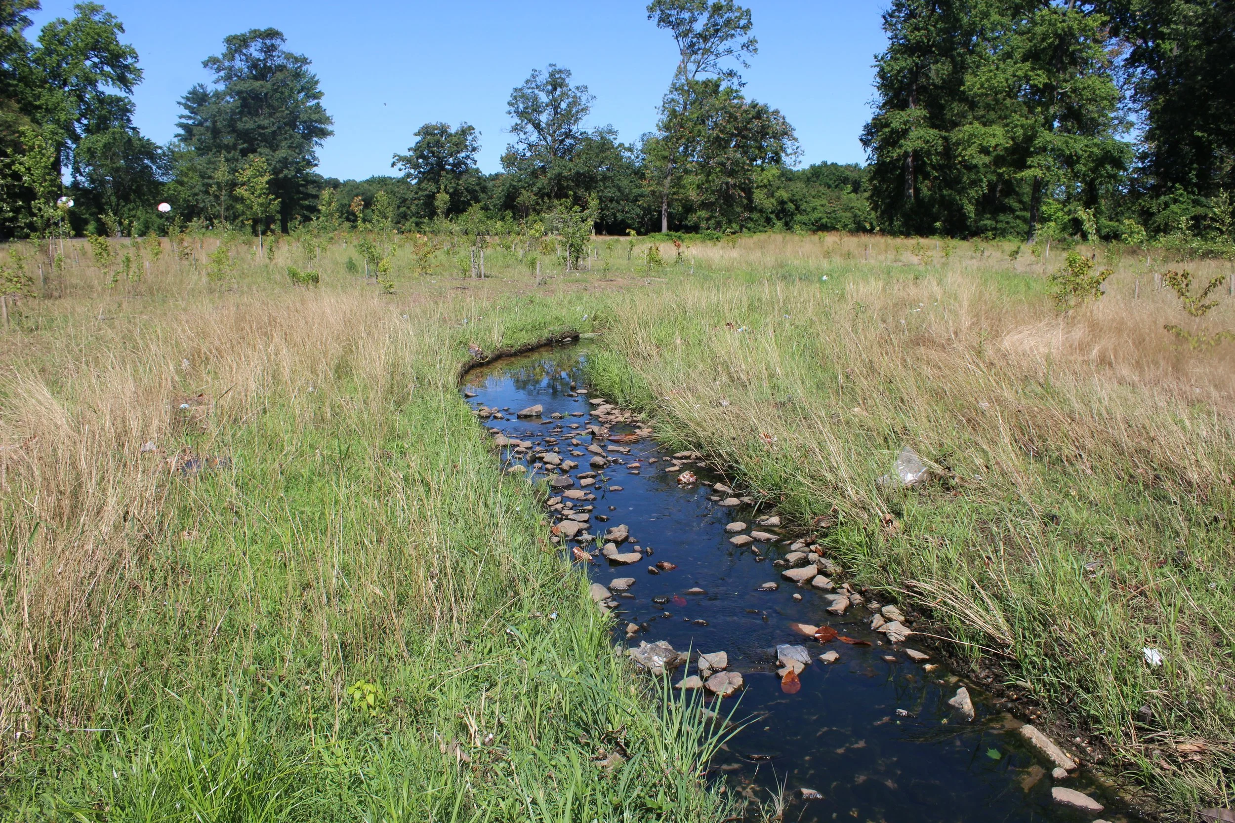 Clean Water Partnership