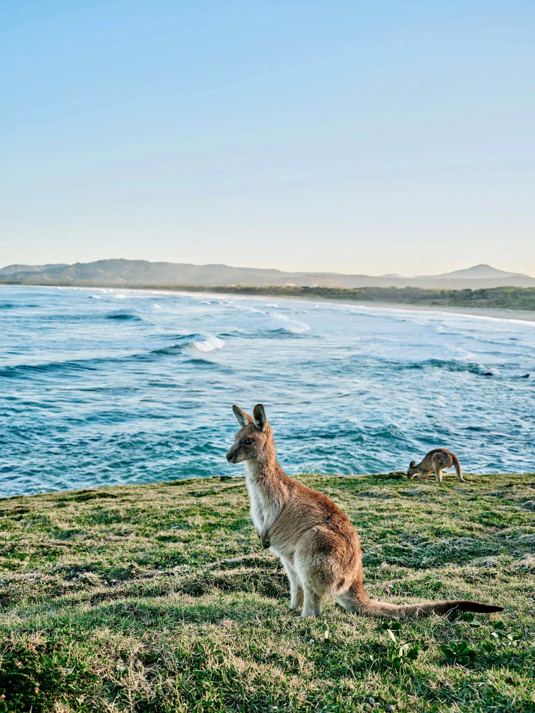 Australia Awaits: Your Ultimate Bucket List Escape