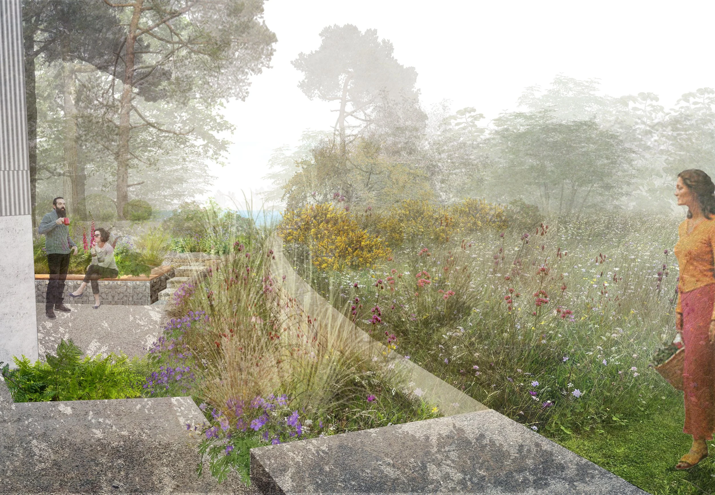 Perennial planting. Wild Garden, rural garden, rural landscape, sea 