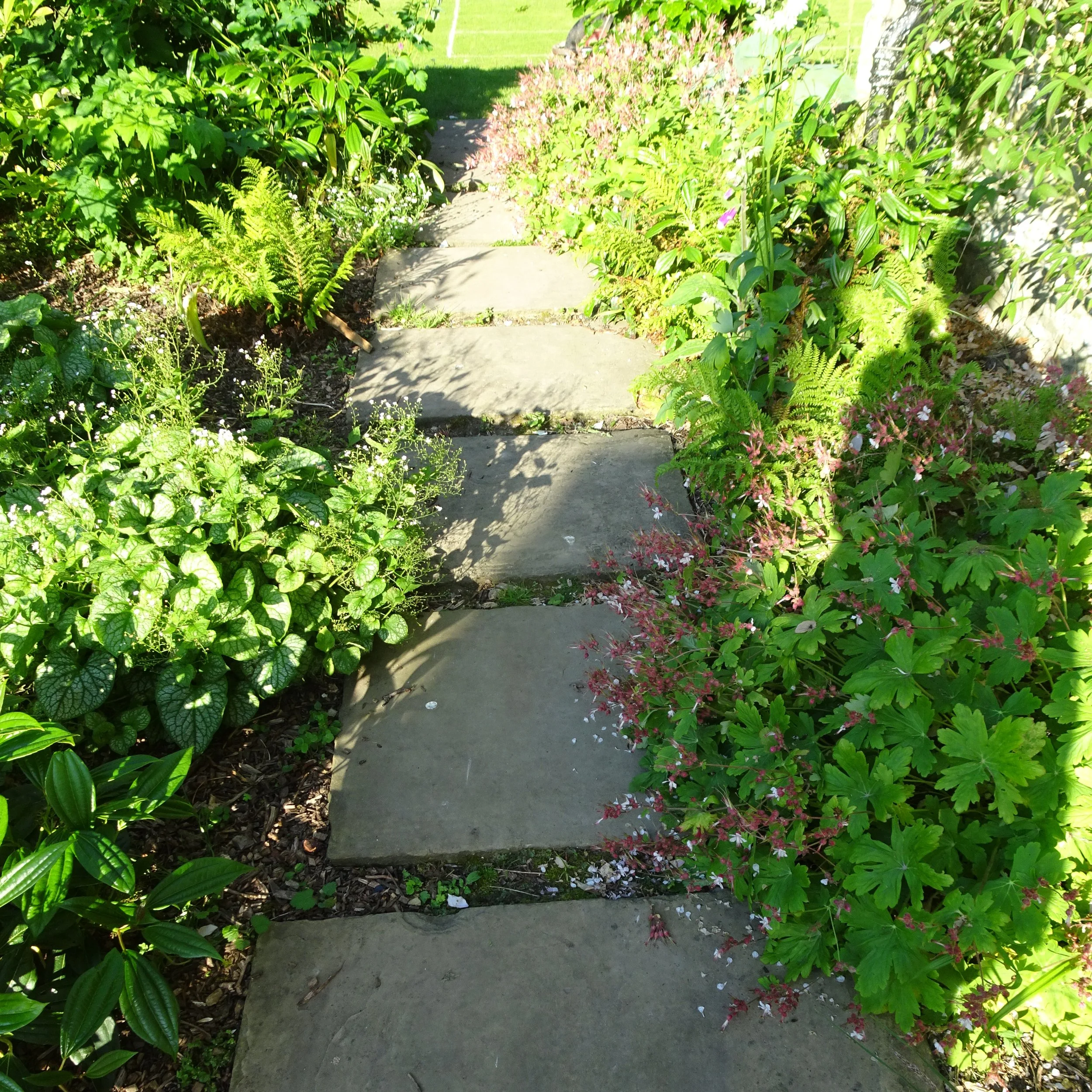 DSC00609 c.jpg