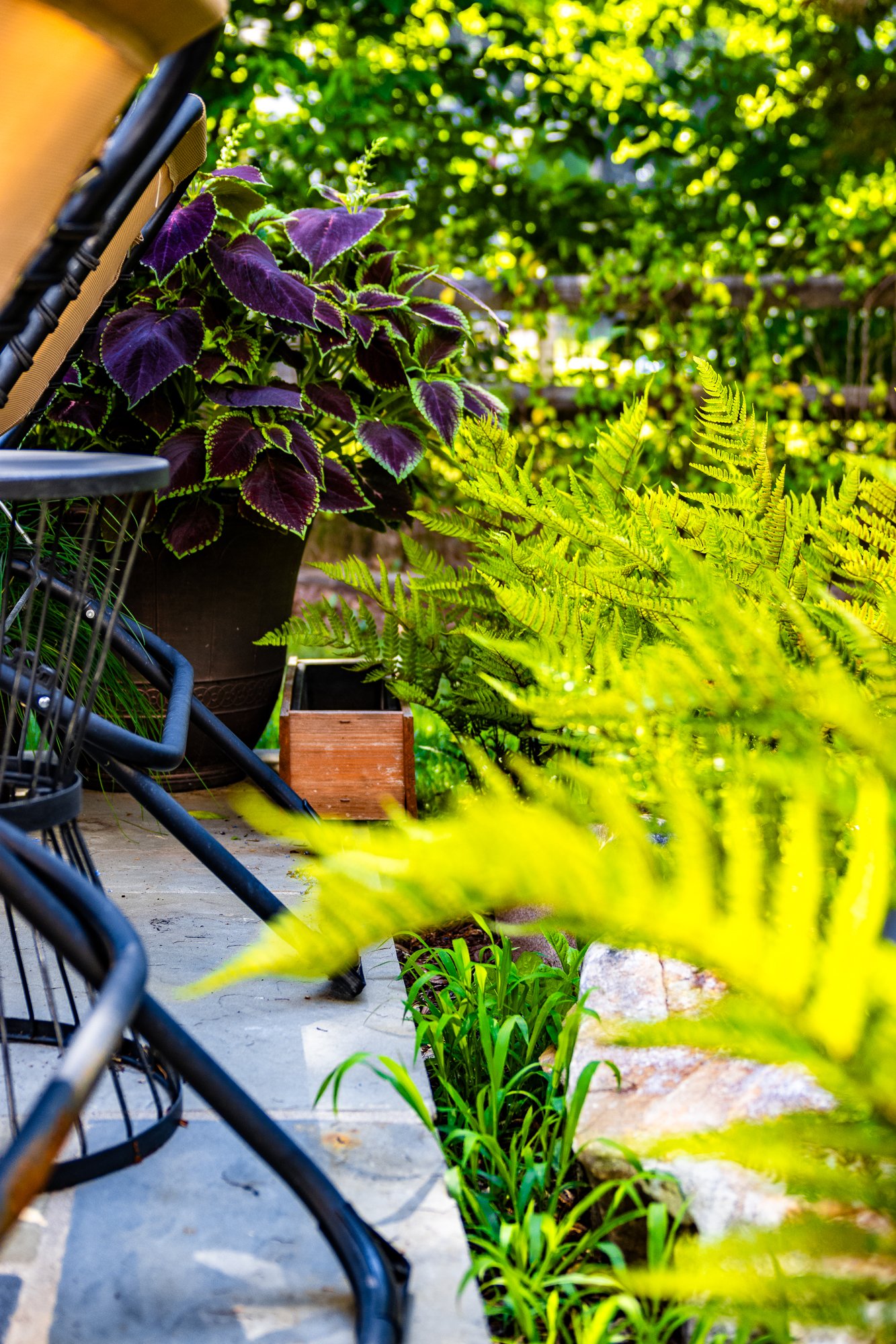 New Camera, New Lens, New Me!