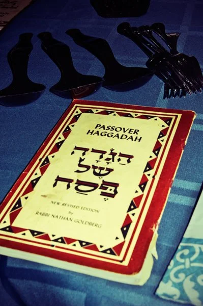A Passover haggadah by Rabbi Nathan Goldberg on a blue tablecloth beside symbolic plague frogs, documented as a seder detail by Mel Usry Photography Northern Virginia.