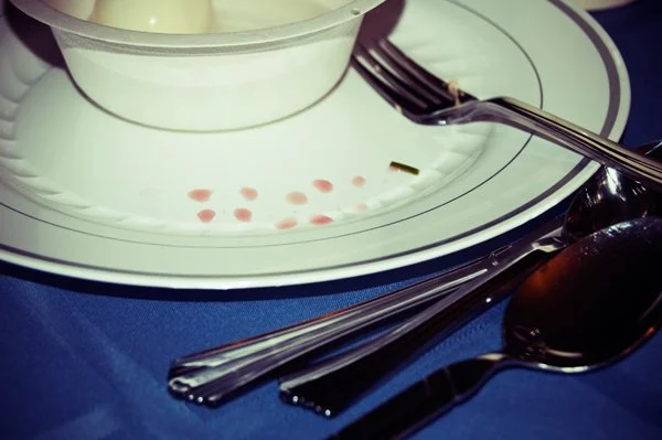 A white plate with ten drops of wine representing the ten plagues beside a bowl and silverware at a Passover seder, documented as a ritual detail by Mel Usry Photography Northern Virginia.