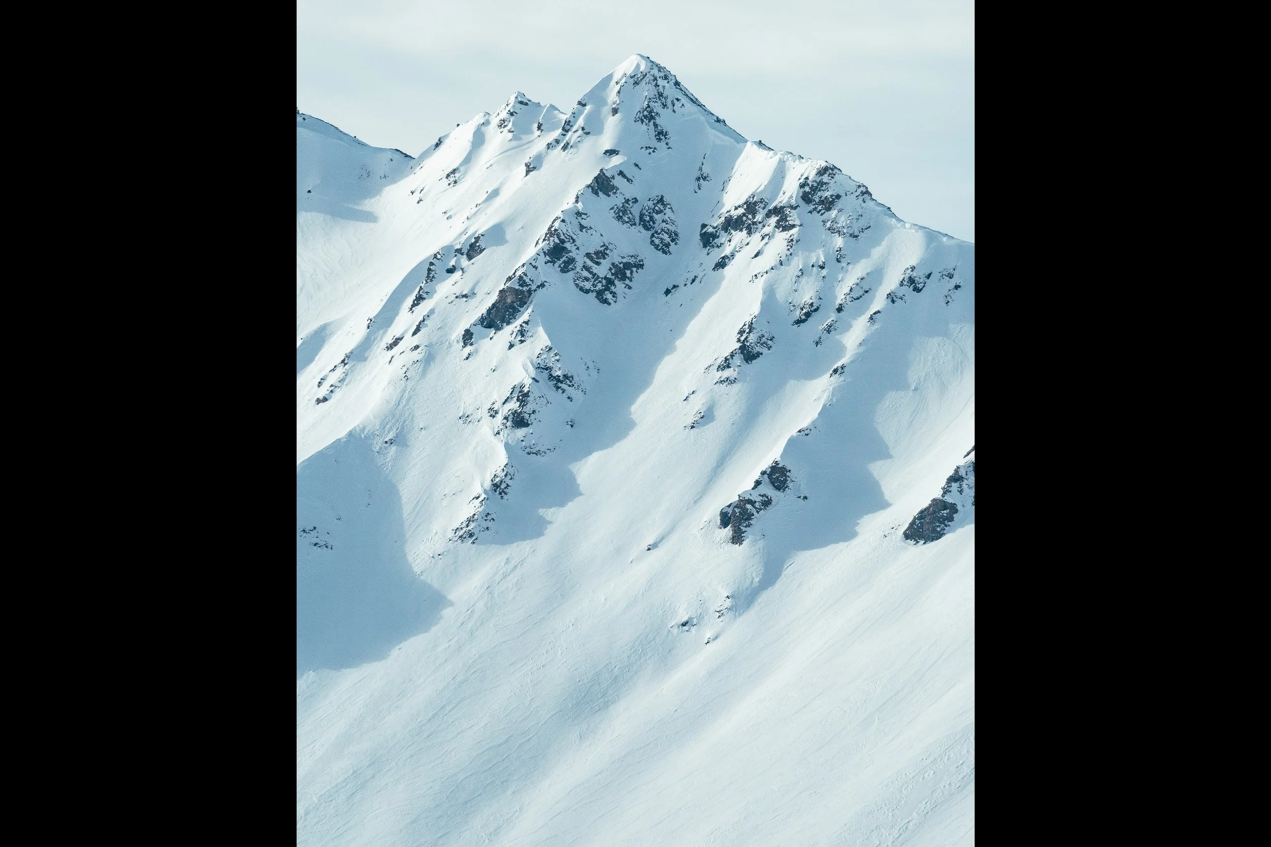 Inghams Campaign 2026