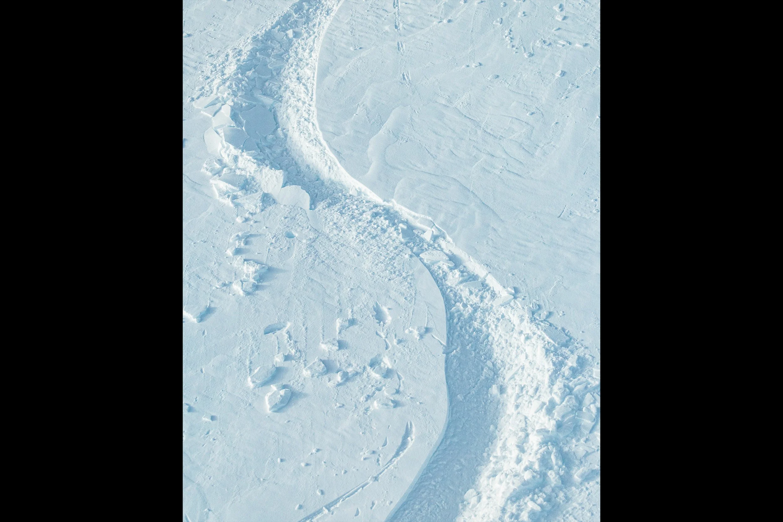 Inghams Campaign 2026