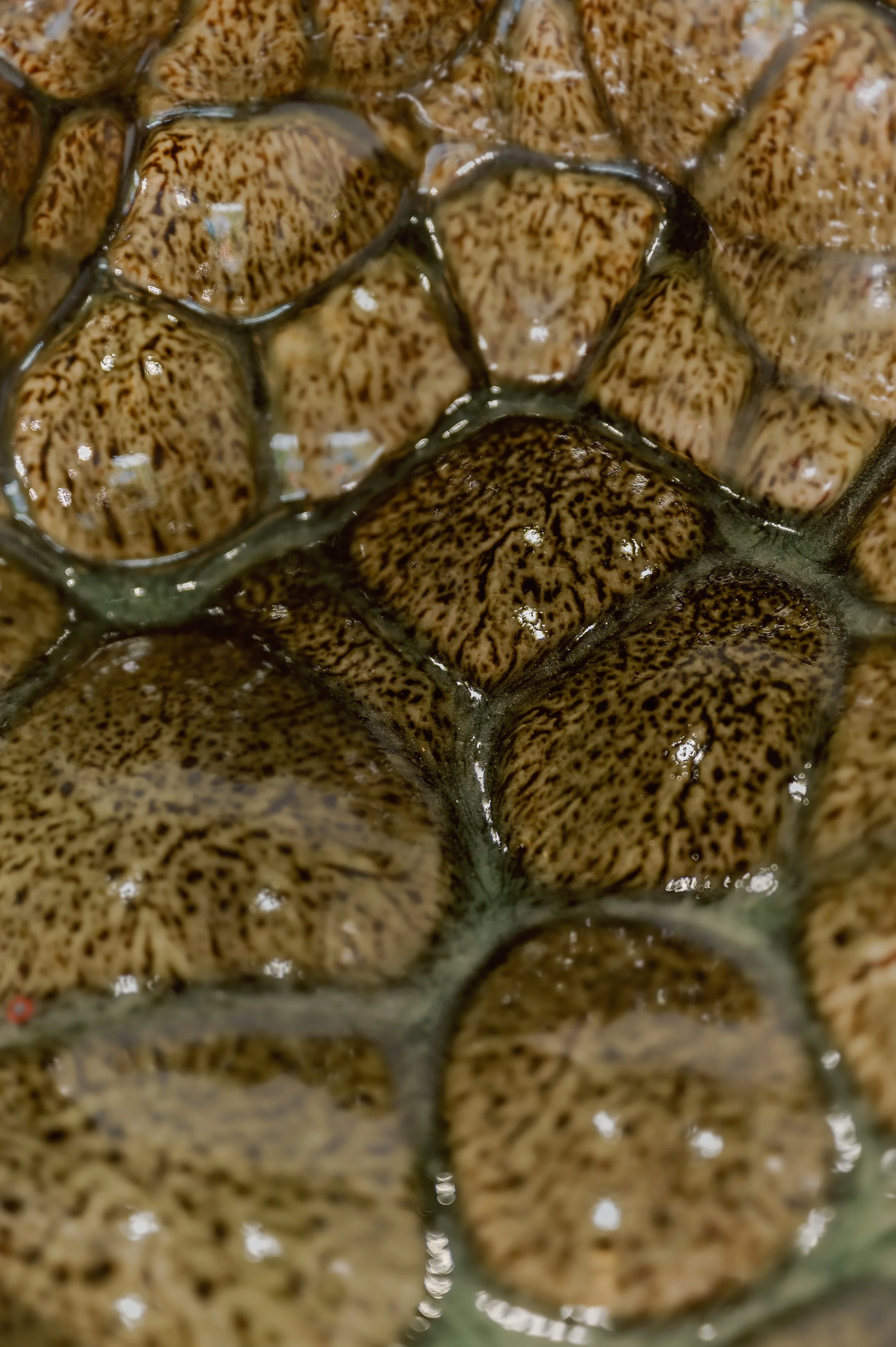 2.11.25 PDA -100.jpg