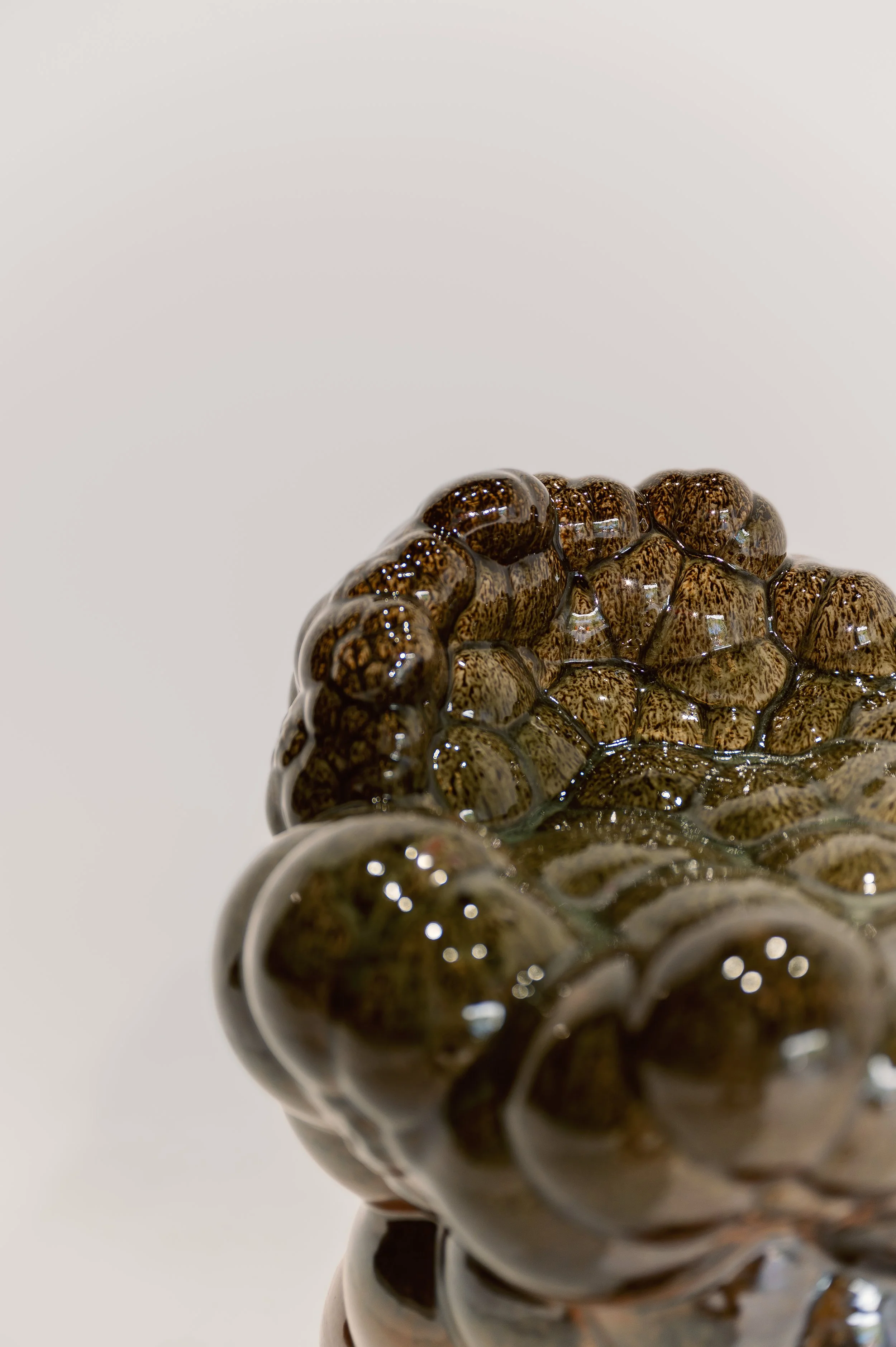 2.11.25 PDA -102.jpg