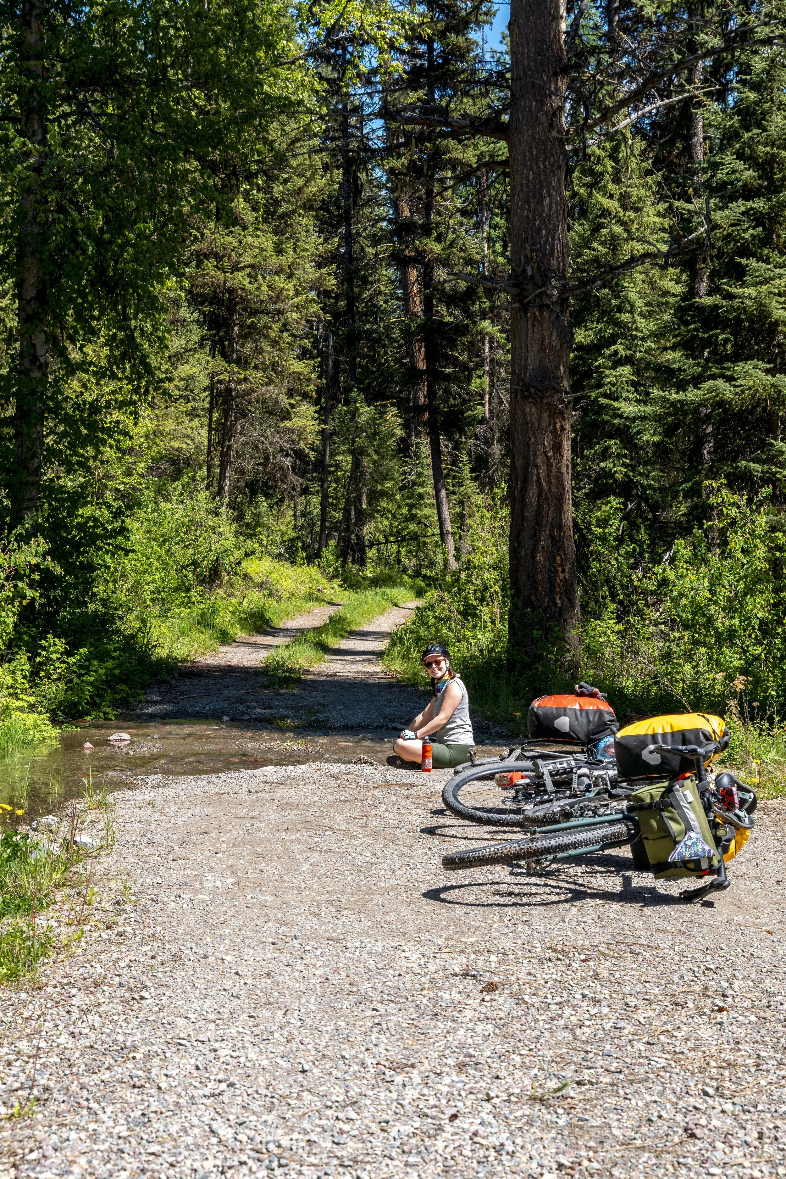 2024.06.02_Glacier NP Edit_15.jpg