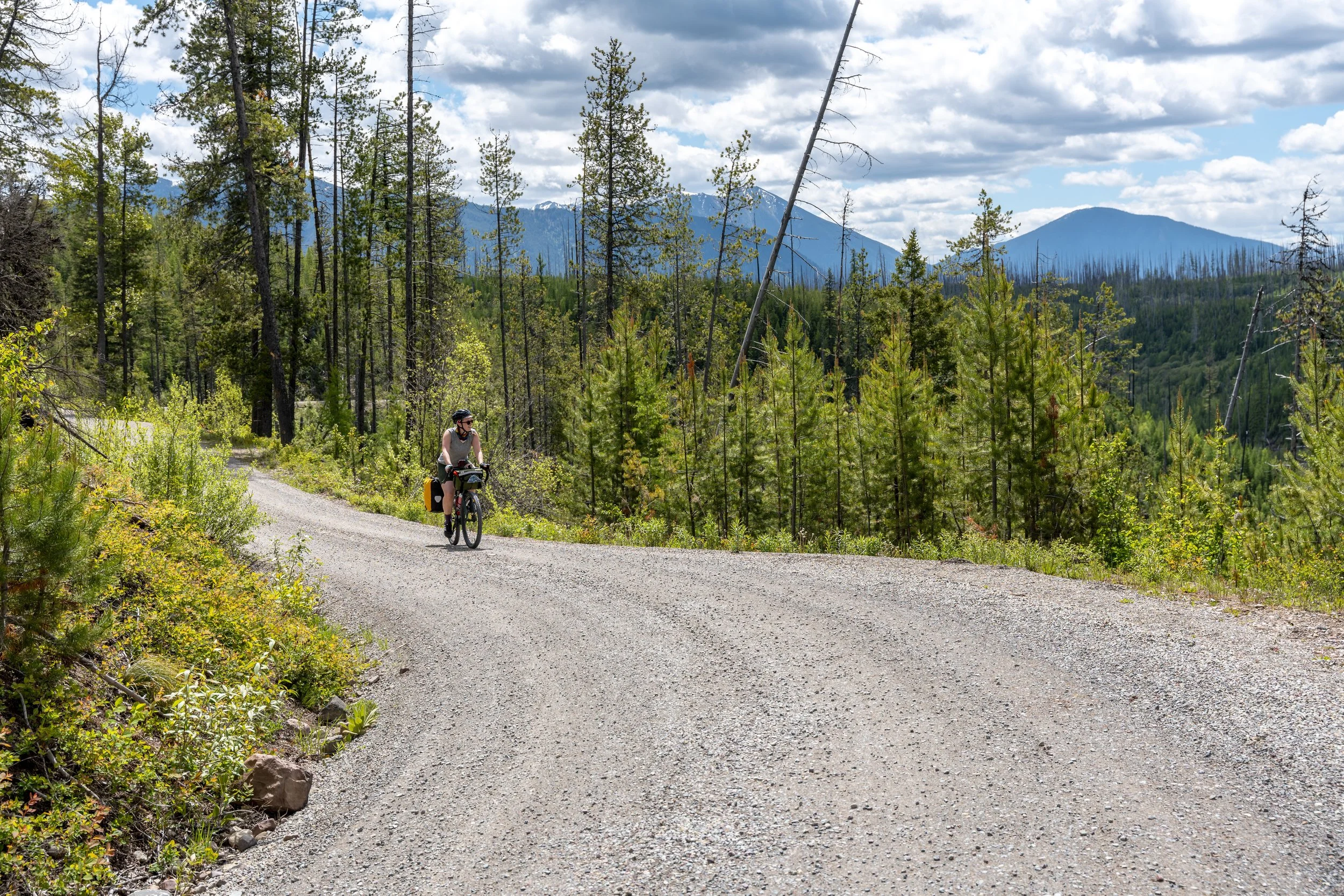 2024.06.02_Glacier NP Edit_9.jpg