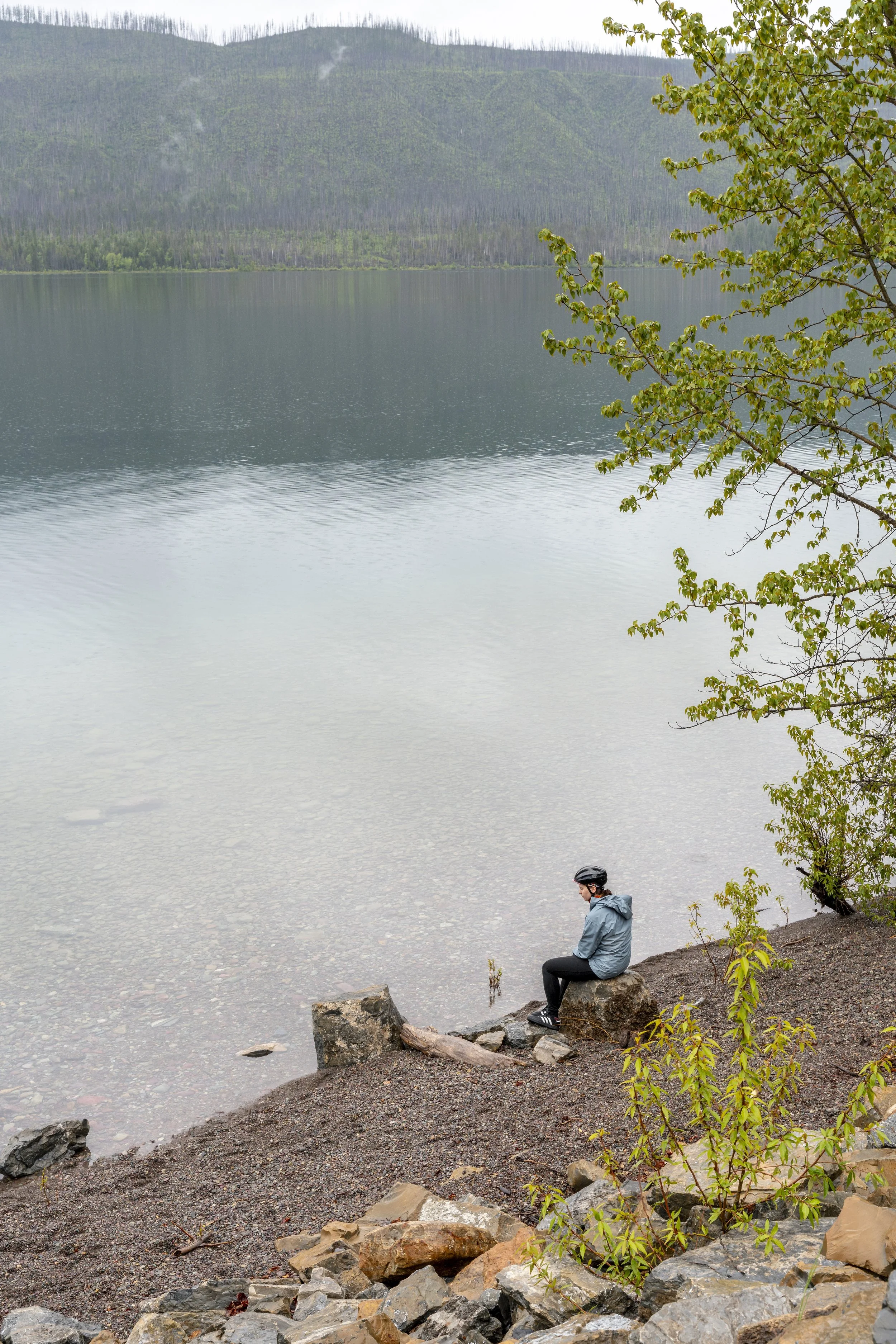 2024.06.02_Glacier NP Edit_3.jpg