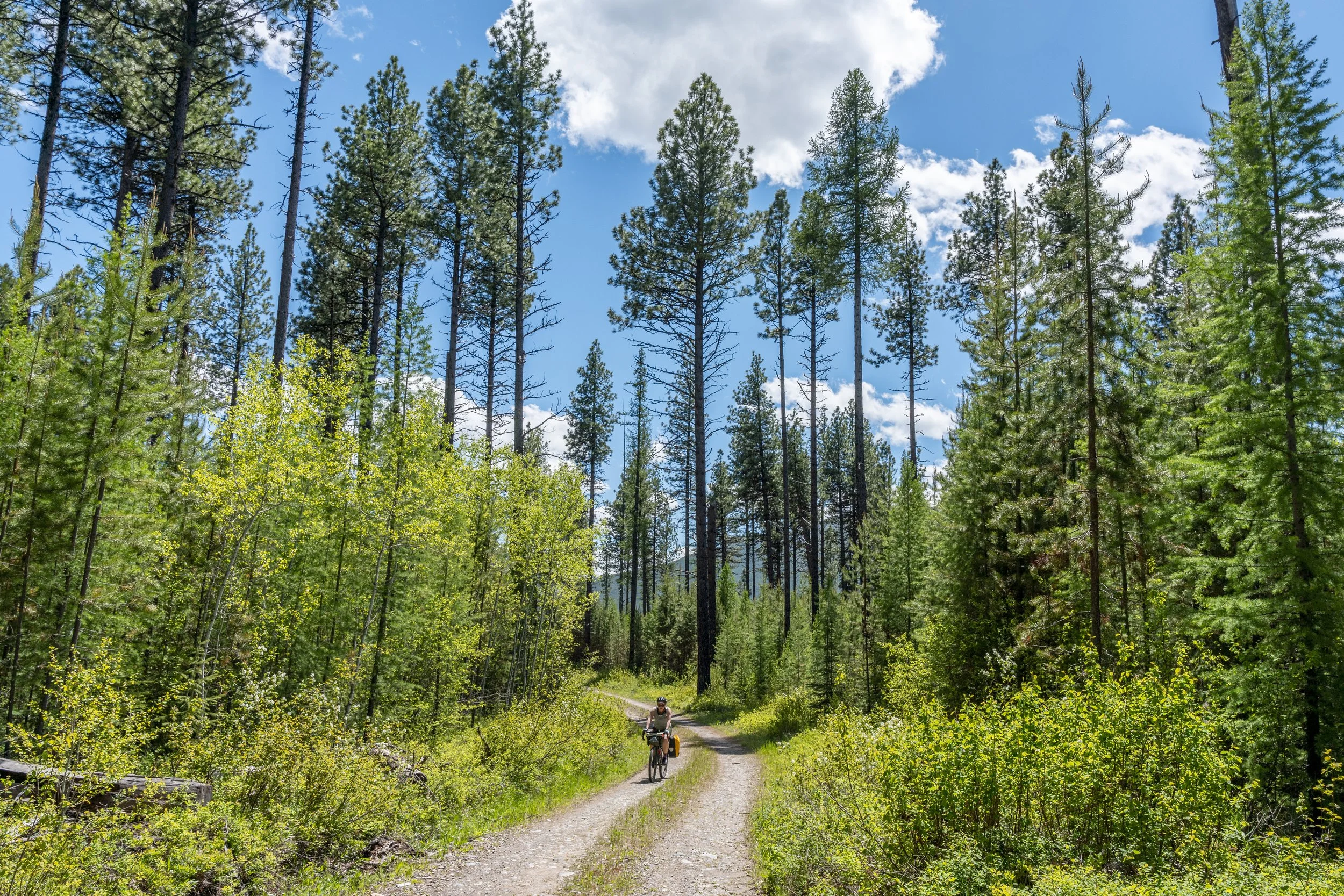 2024.06.02_Glacier NP Edit_14.jpg