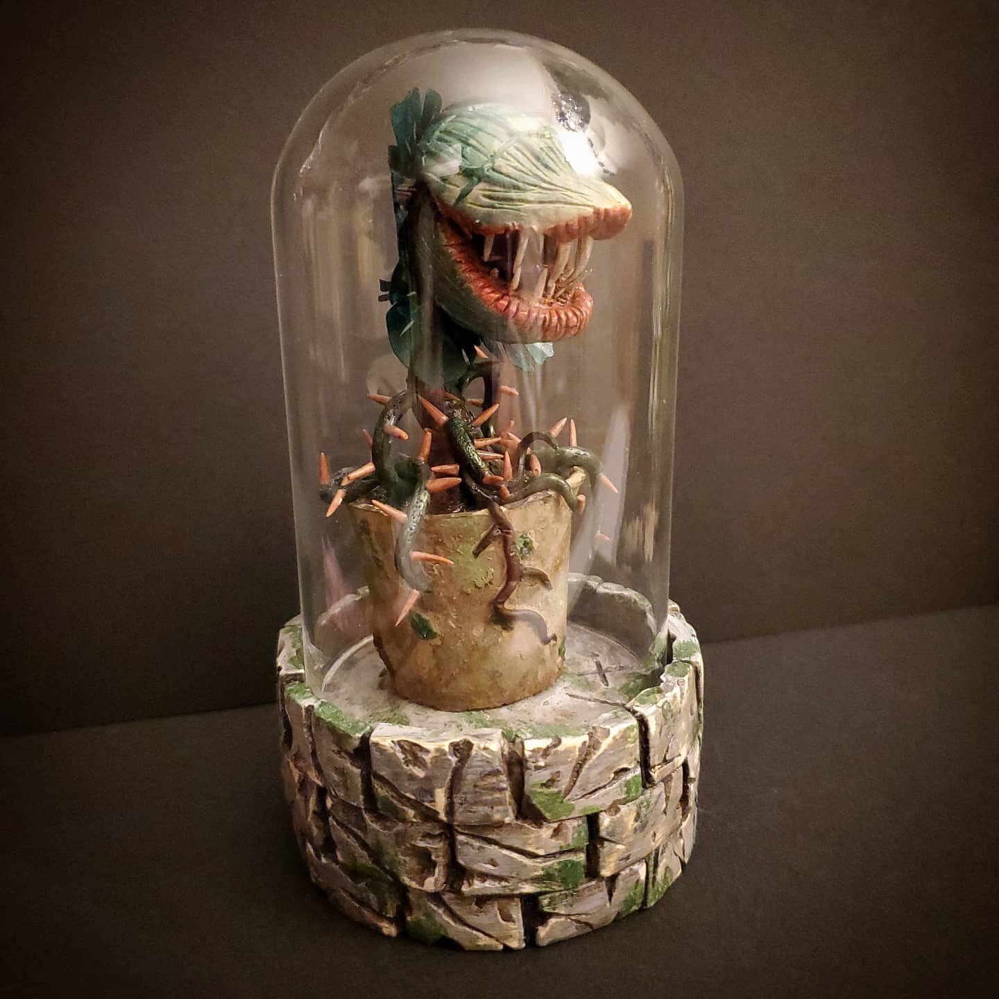 Audrey II 🌱 has been safely ensconced inside their newly built dome. My beautiful sister, @tullymore3 , surprised me with the fantastic Tim Holtz display dome to showcase this smiling fiend. Alas, Audrey II is a voracious eater and was a bit too lon