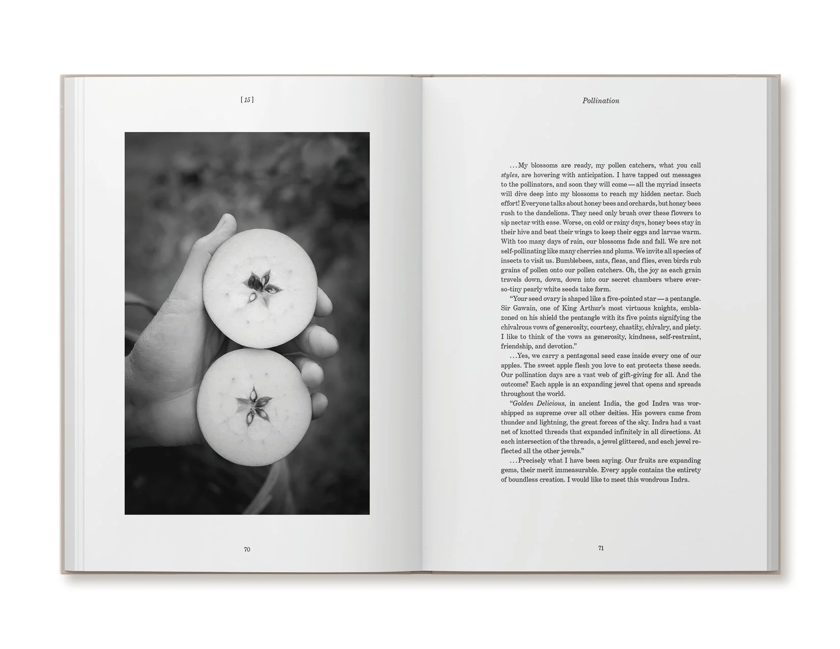 ellen-harasimowicz-overheard-in-the-orchard-book-4.jpg