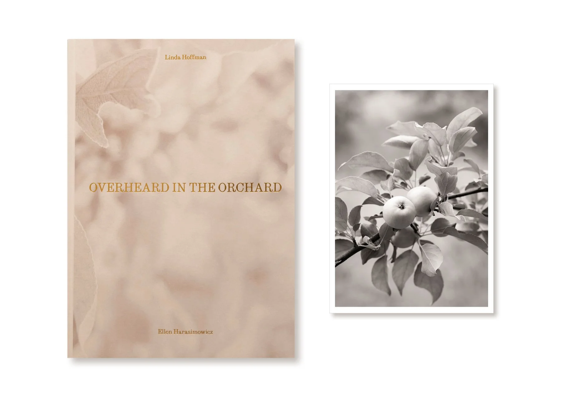 ellen-harasimowicz-overheard-in-the-orchard-book-print-2.jpg