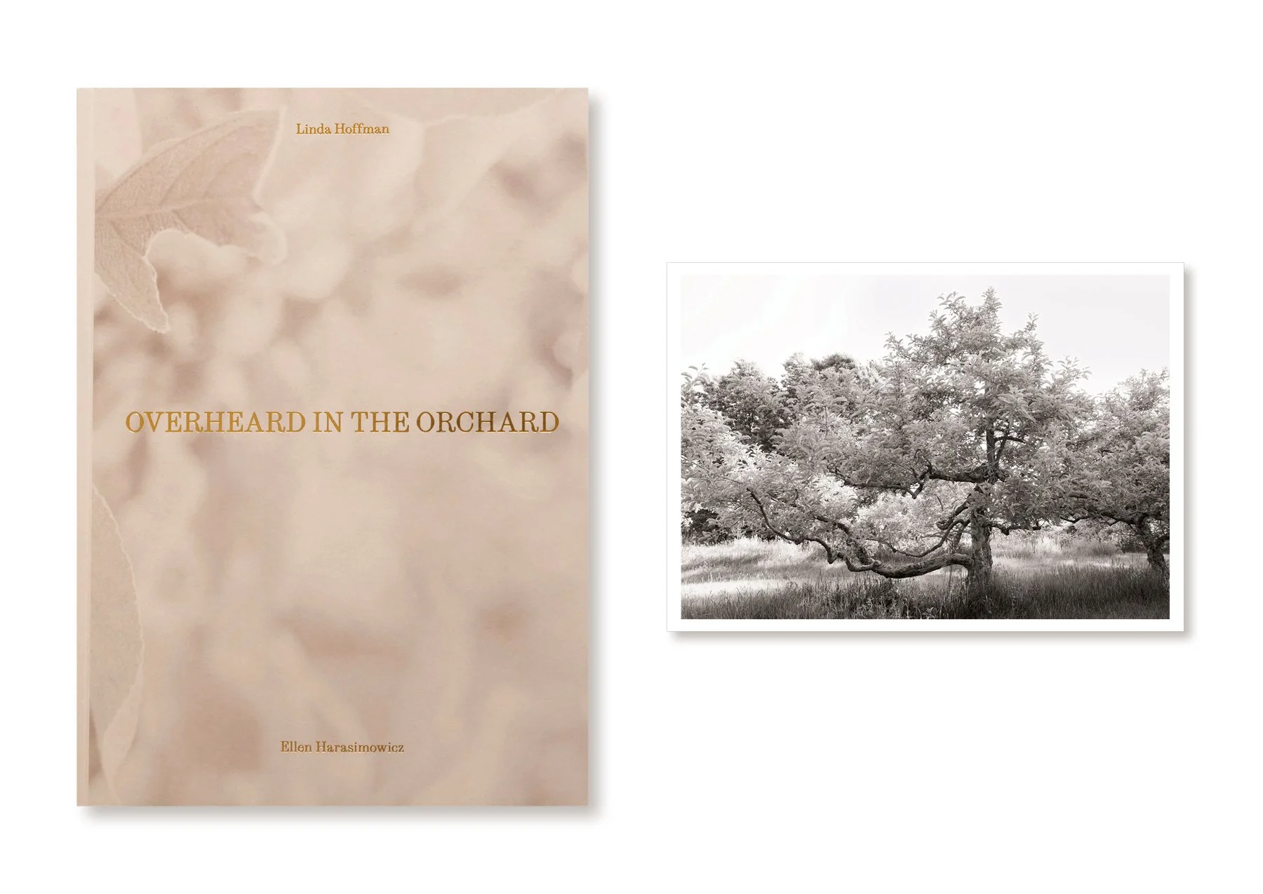 ellen-harasimowicz-overheard-in-the-orchard-book-print-1.jpg