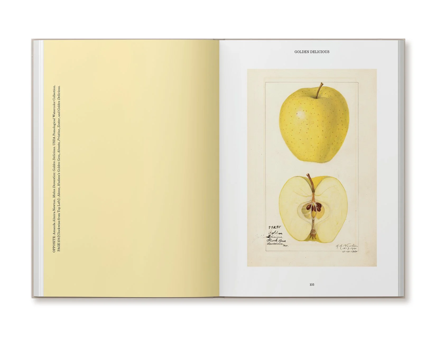 ellen-harasimowicz-overheard-in-the-orchard-book-5.jpg