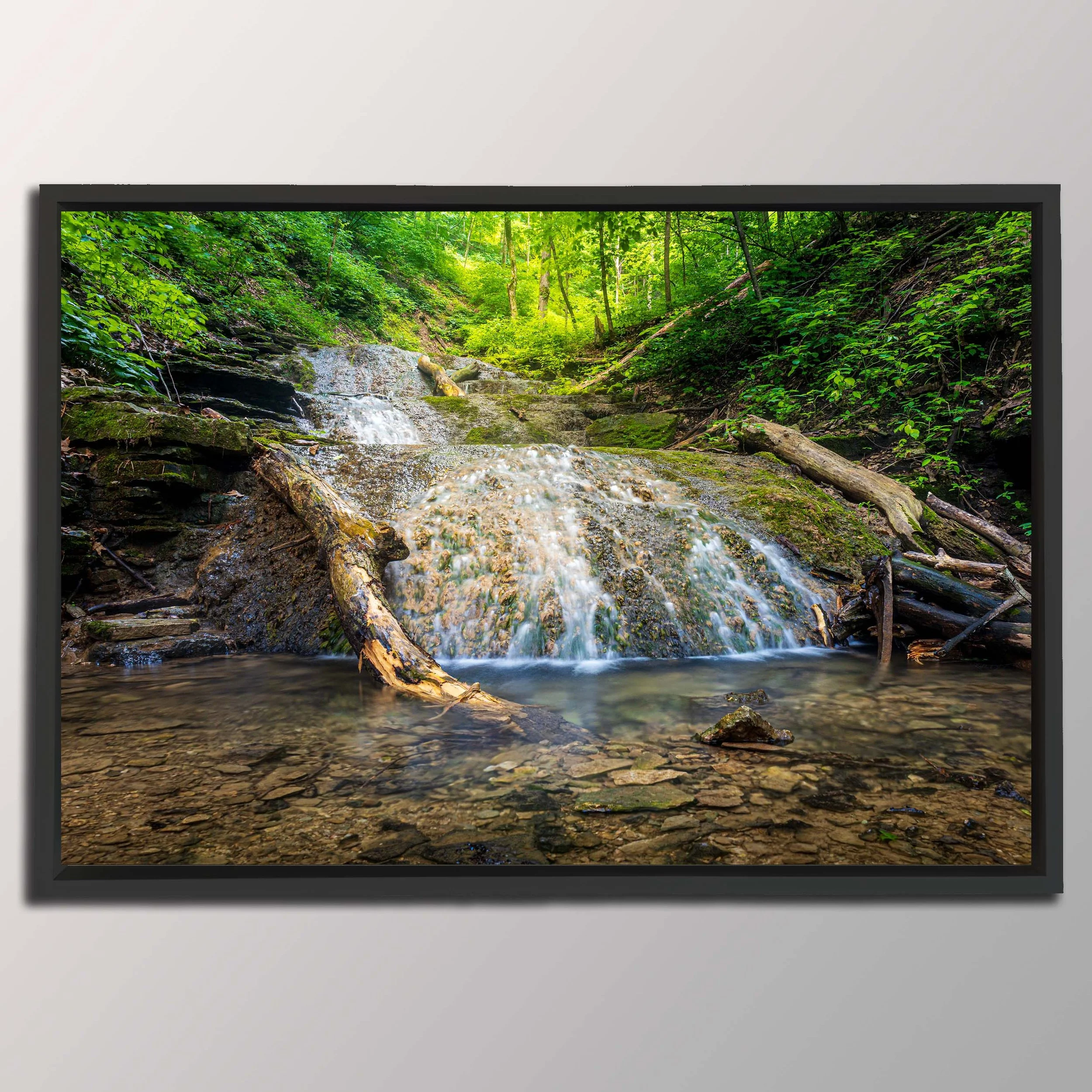 float frame black.jpg