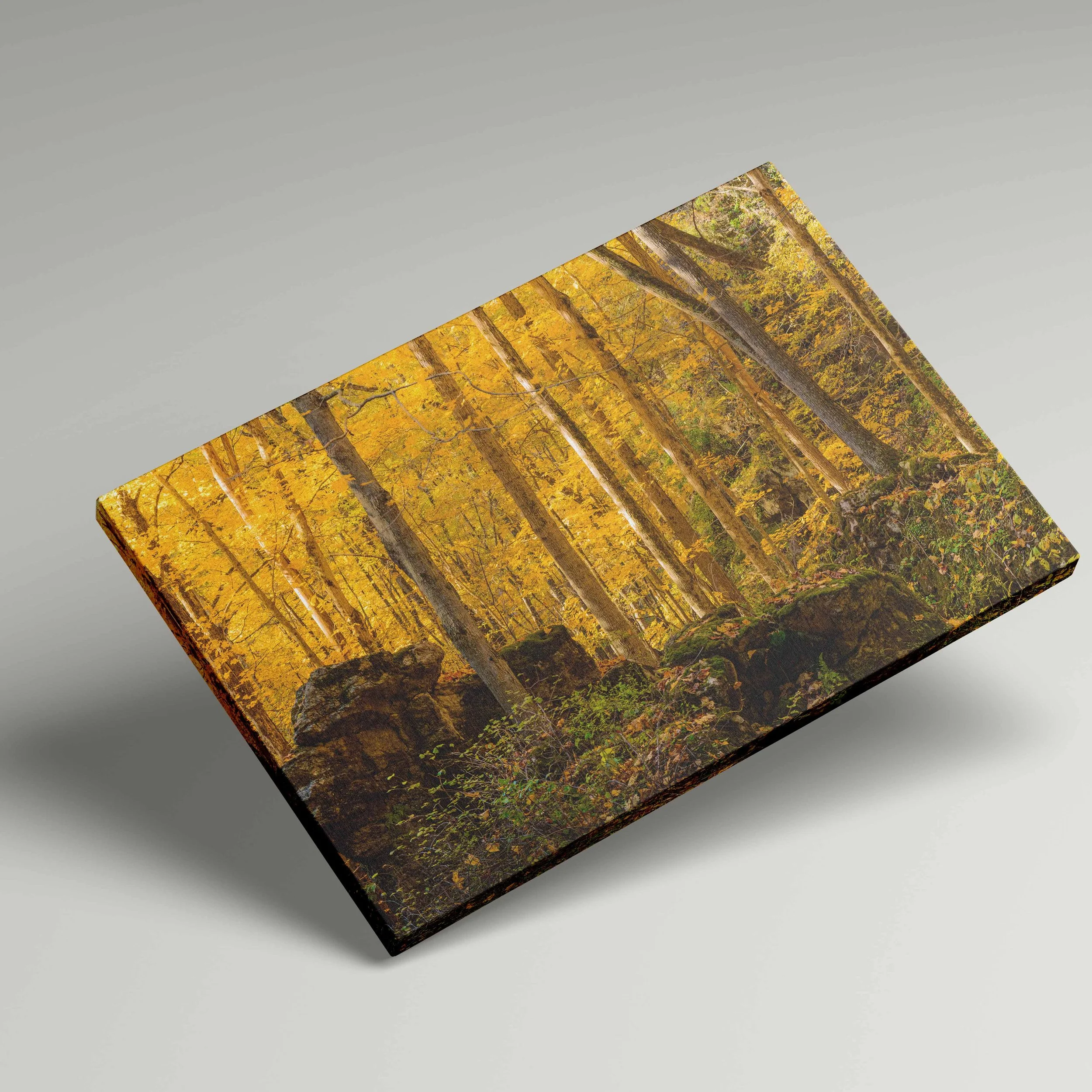 canvas on corner-Recovered.jpg