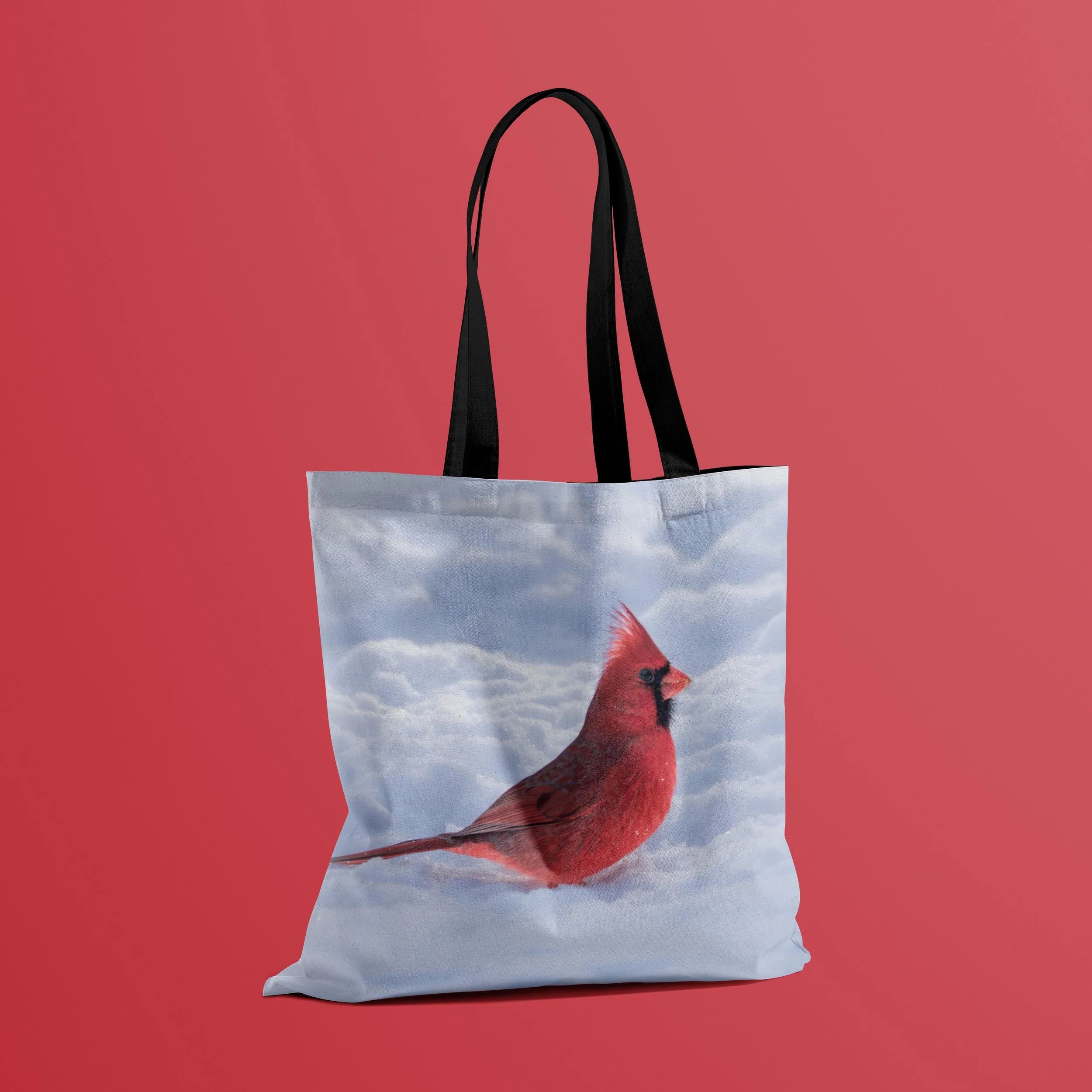 cardinal in snow on floor.jpg