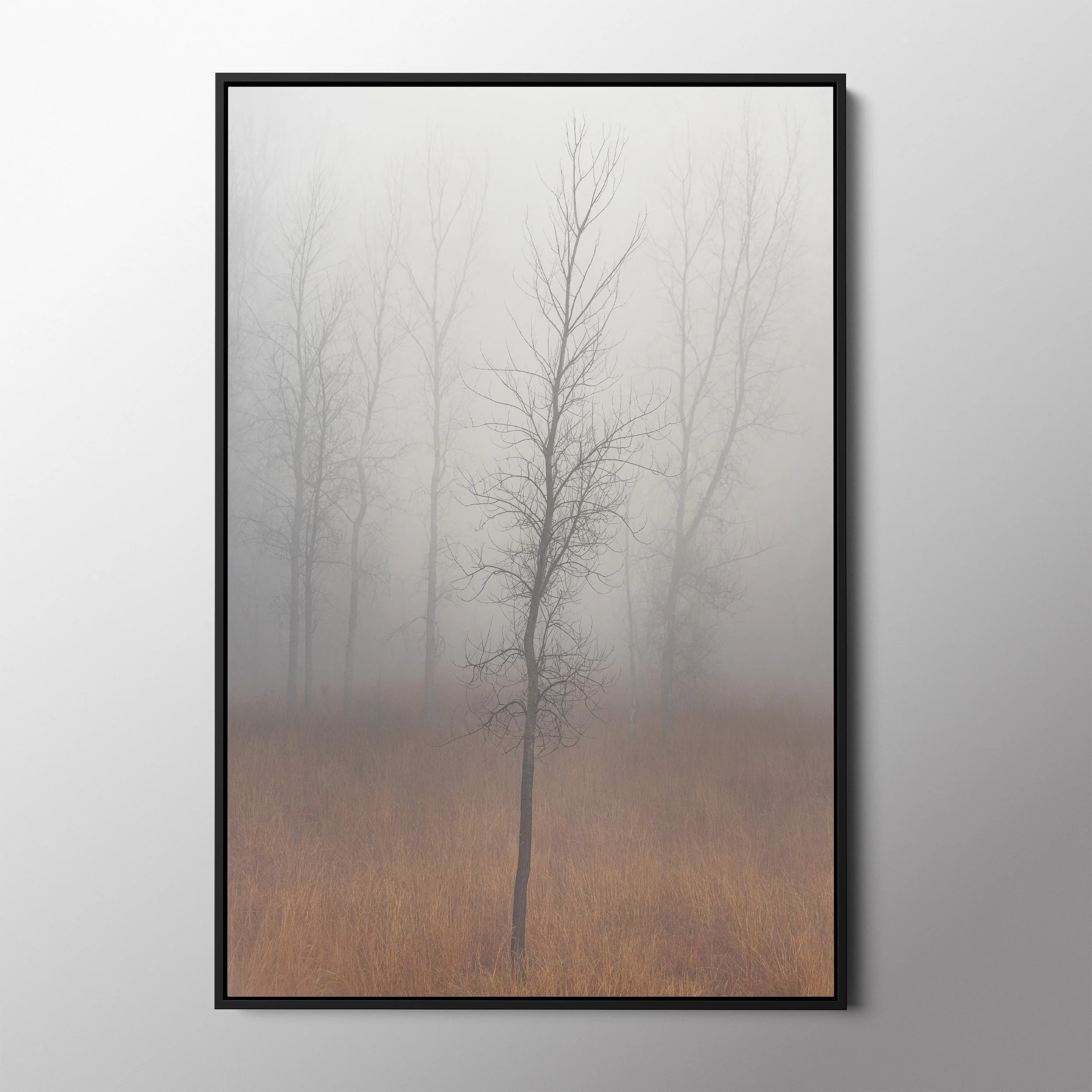 black float frame.jpg