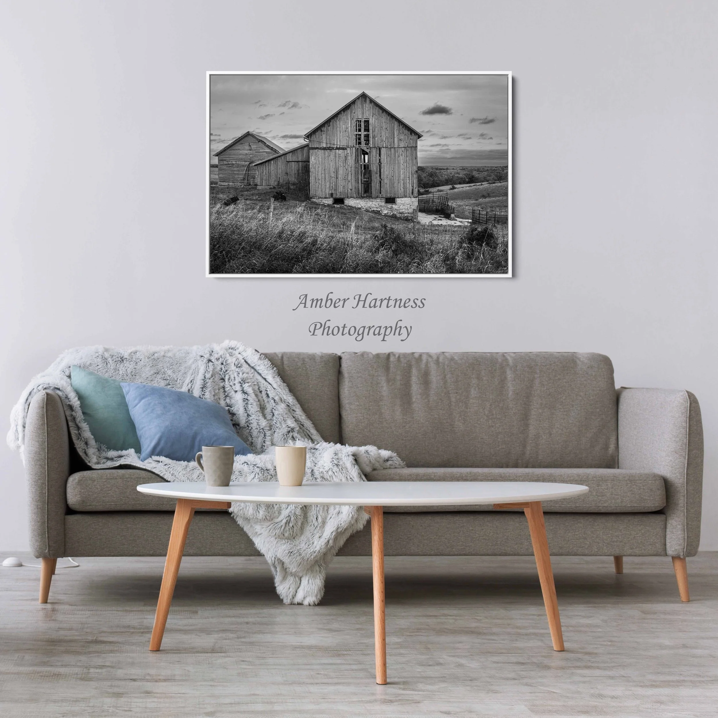 float fram 2,3 horizontal living room.jpg