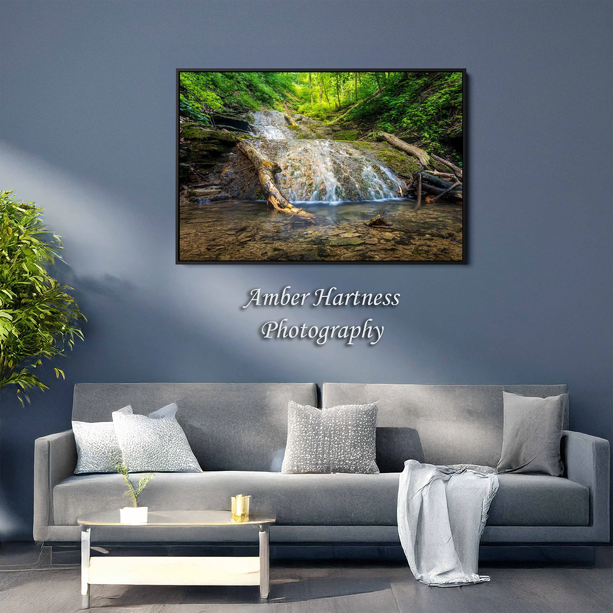 float frame living room.jpg