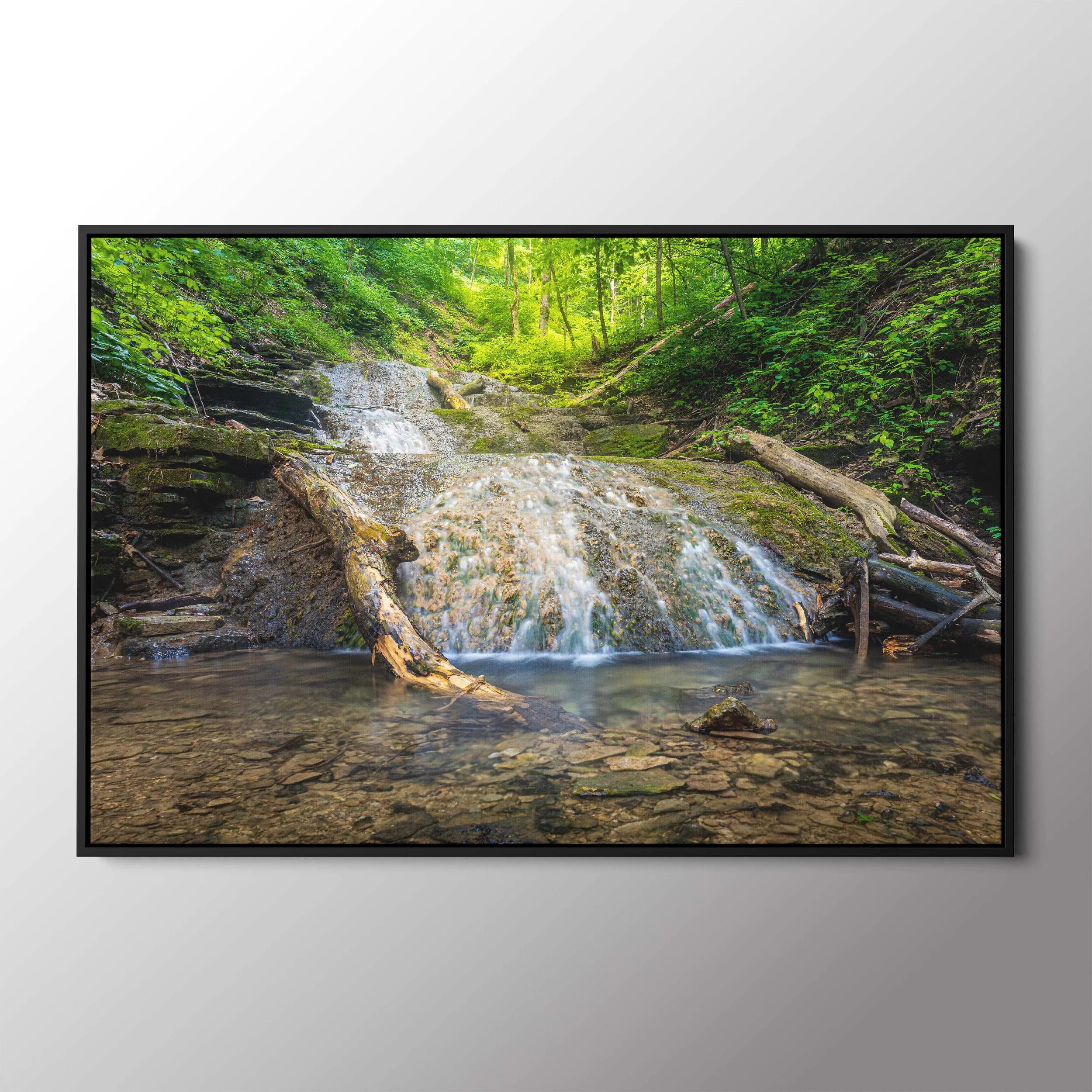 canvas float frame black.jpg