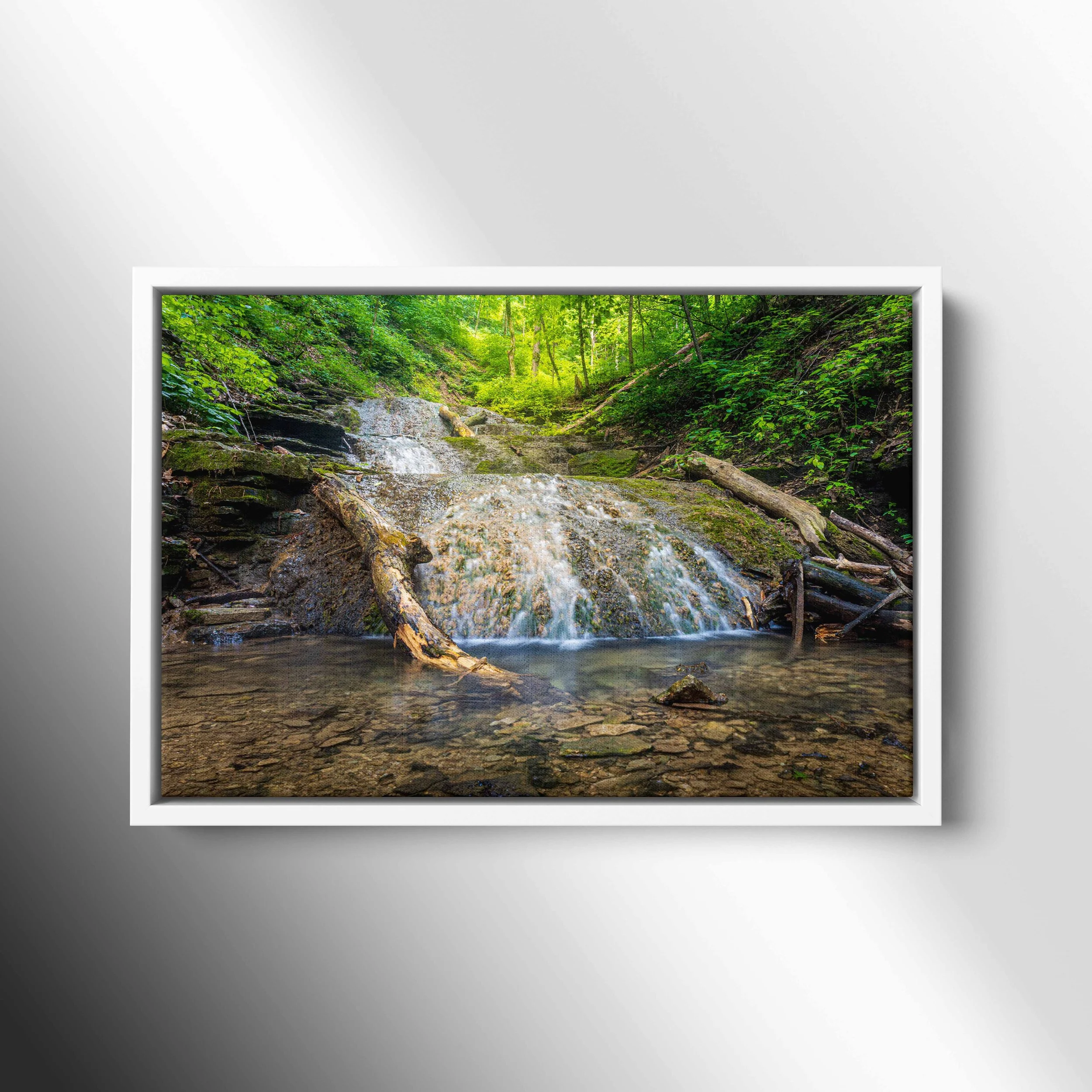 canvas float frame white.jpg
