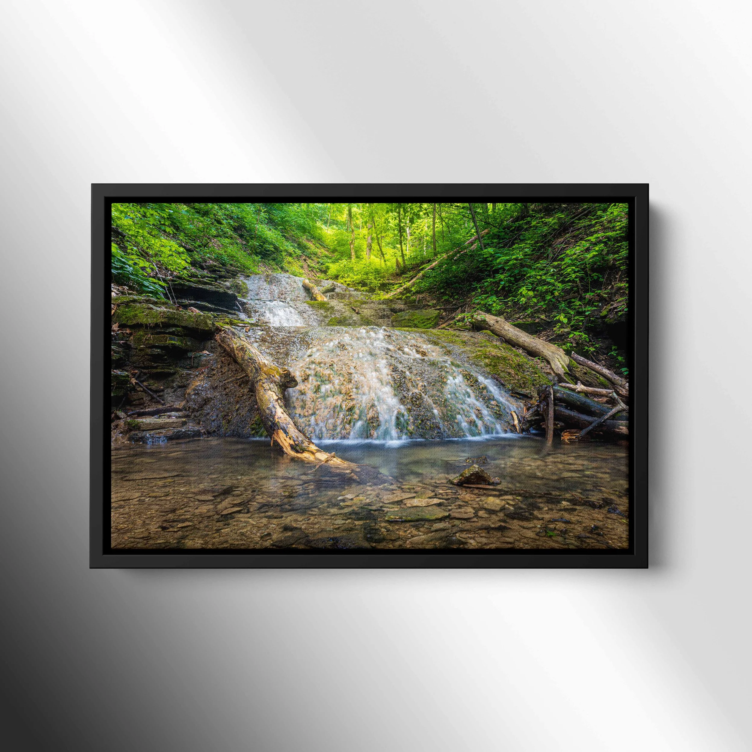 canvas float frame black.jpg