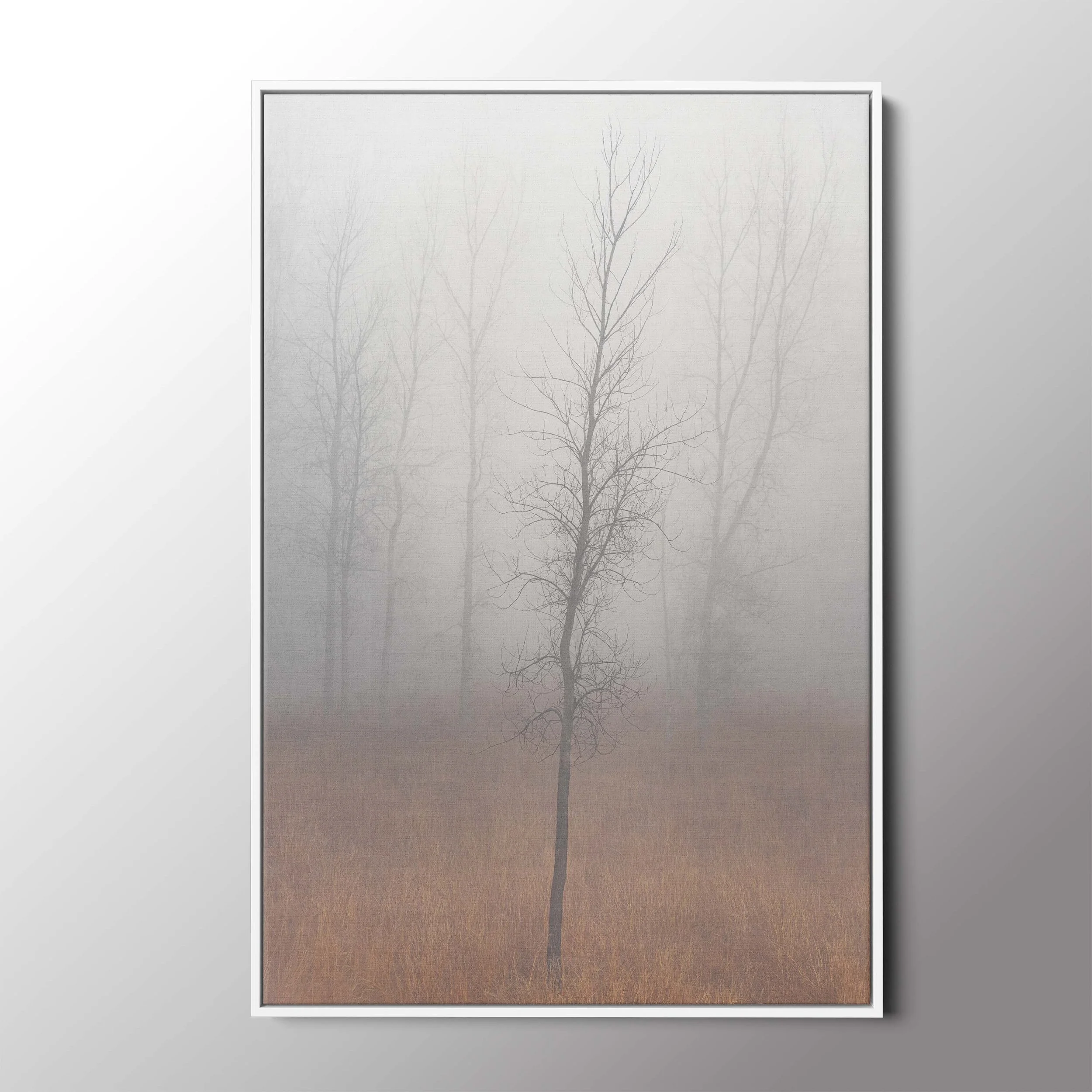 white float frame.jpg