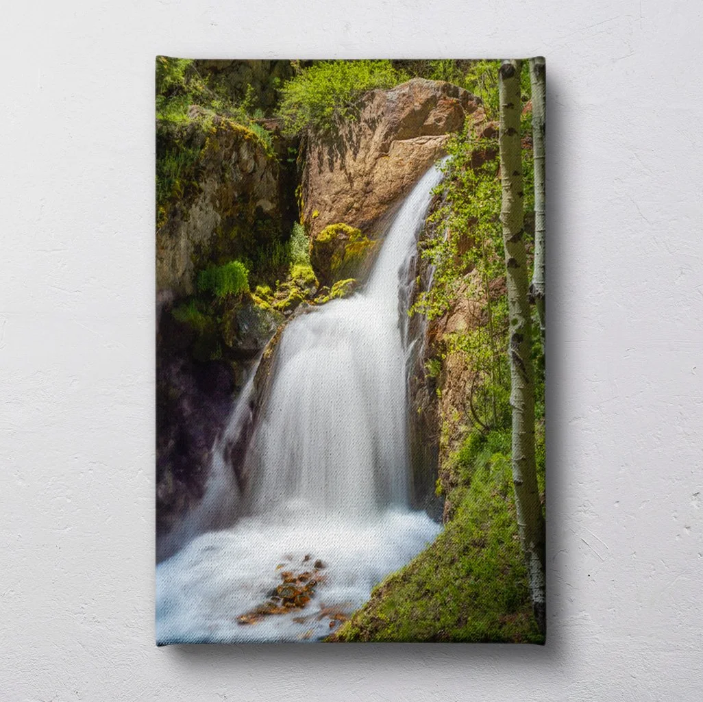 canvas on wall.jpg