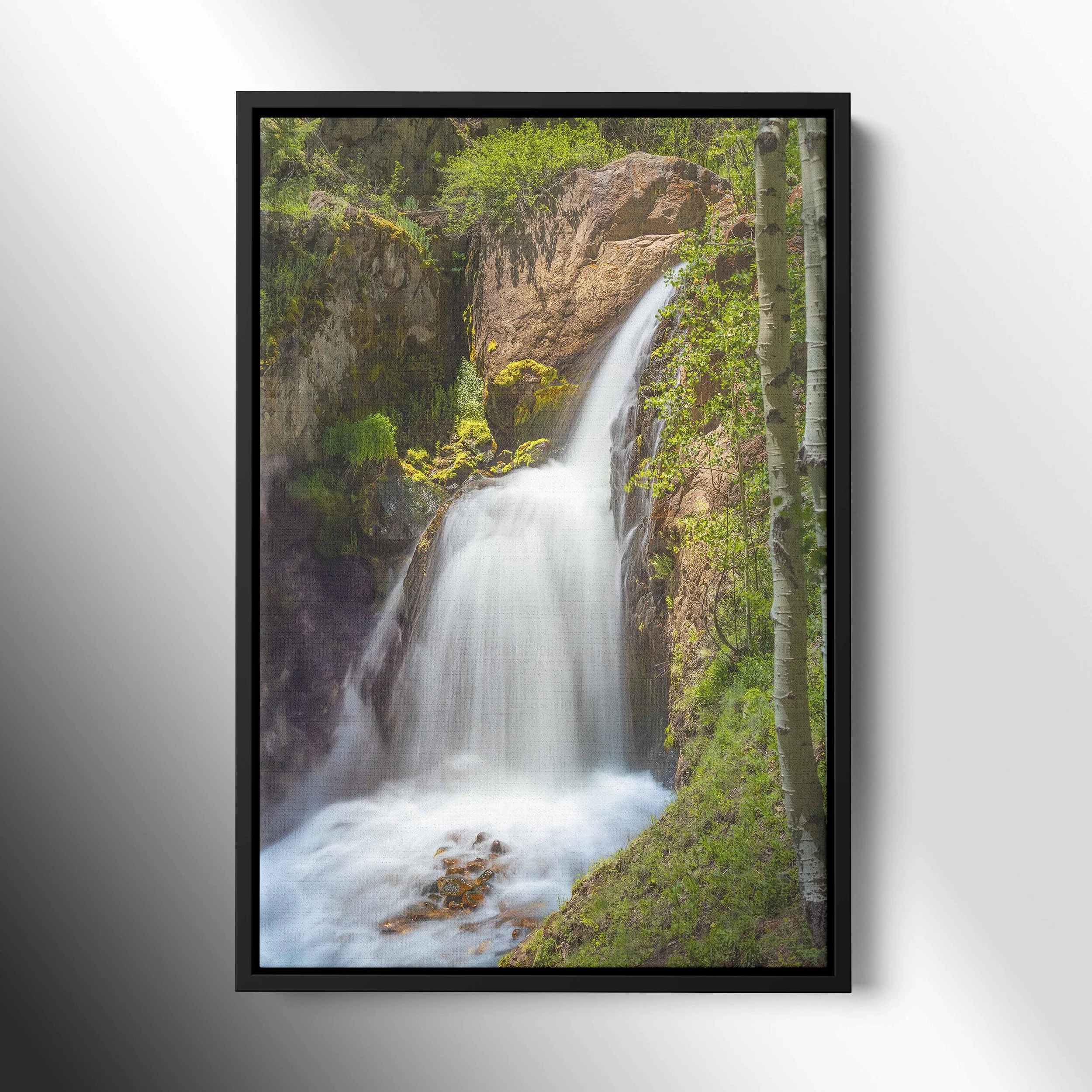 canvas framed.jpg