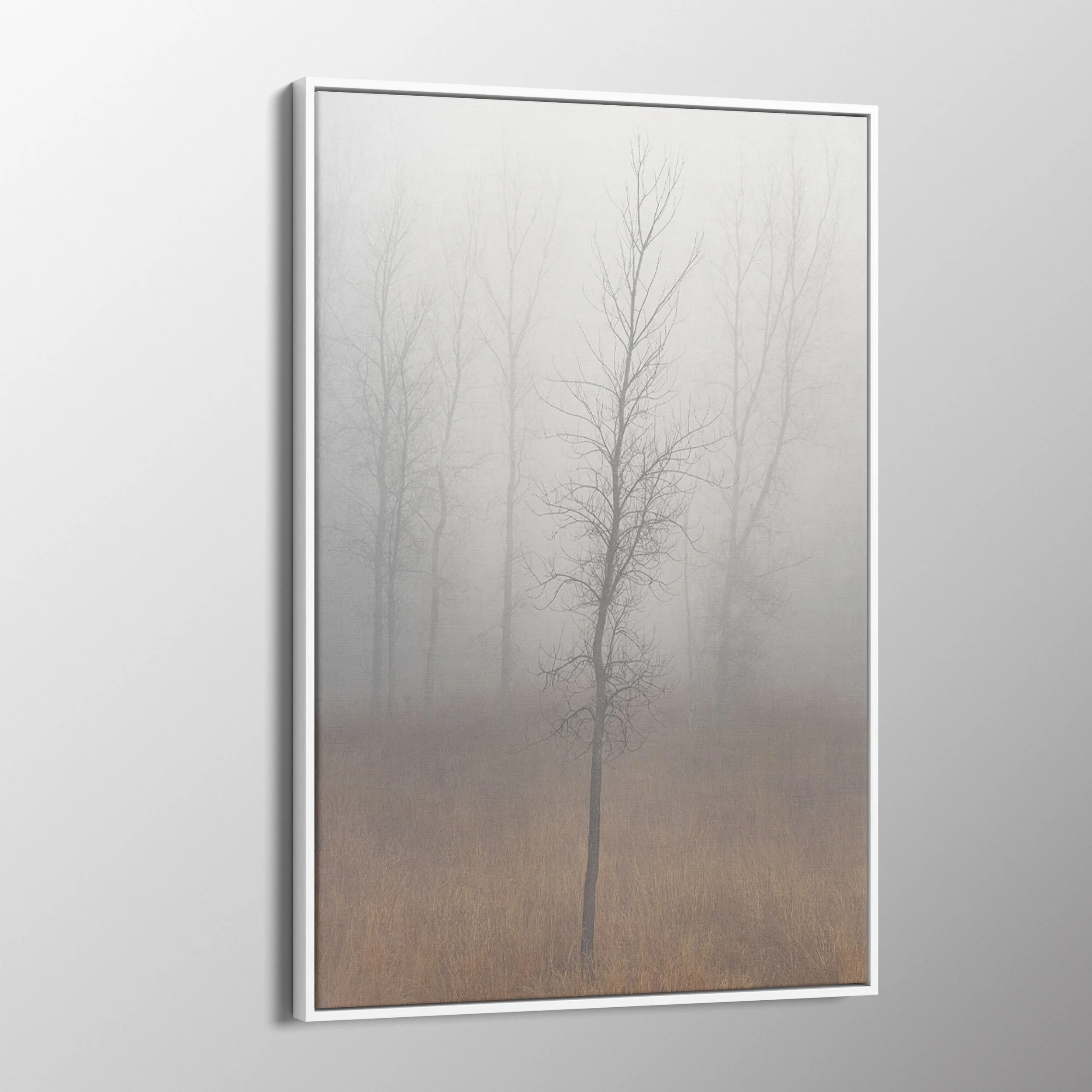 angle float frame.jpg