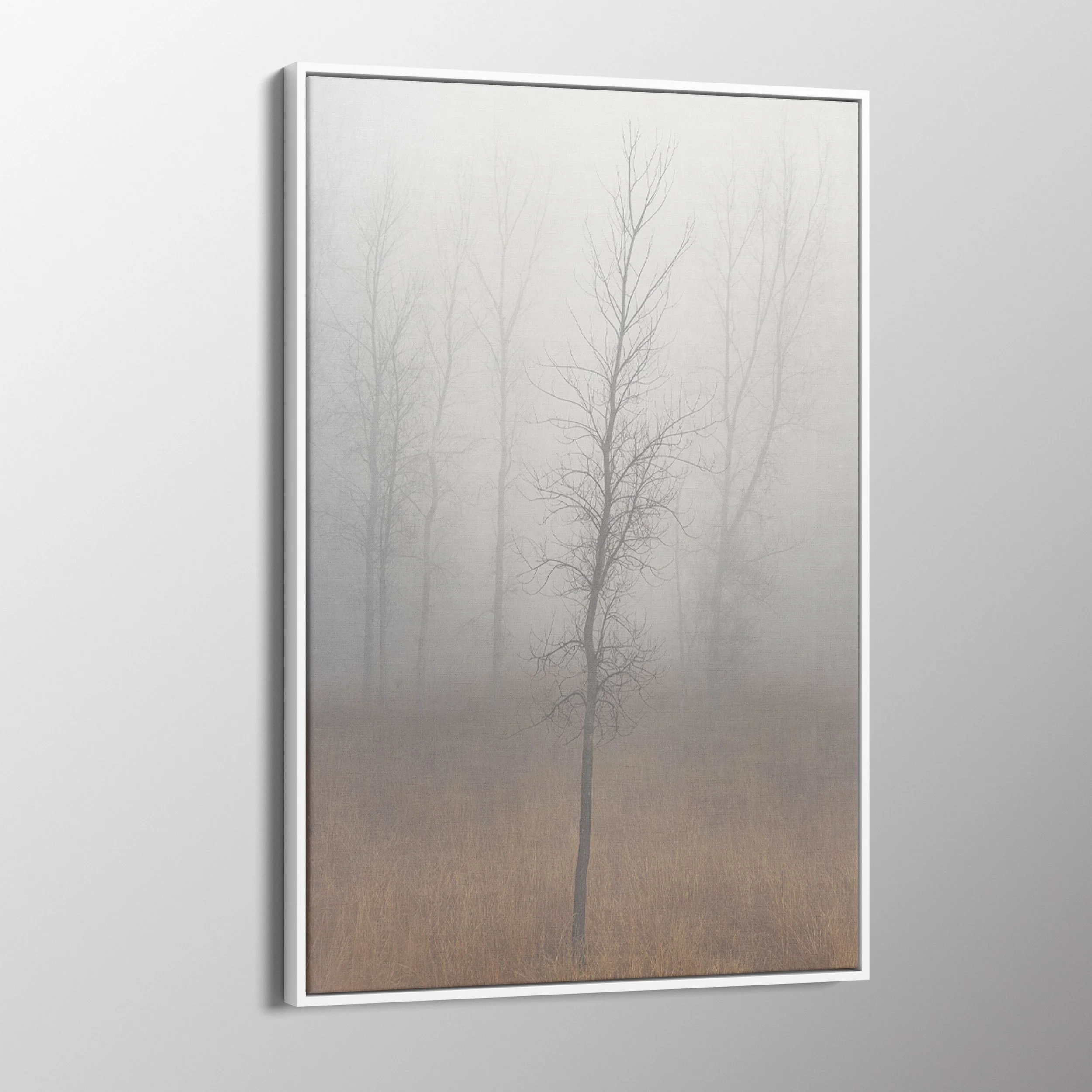 float frame angle.jpg