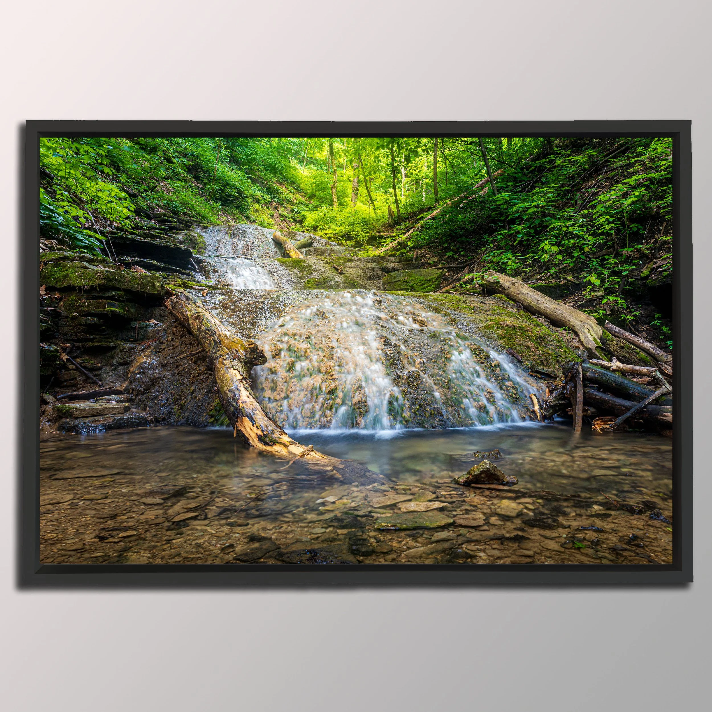 float frame black.jpg