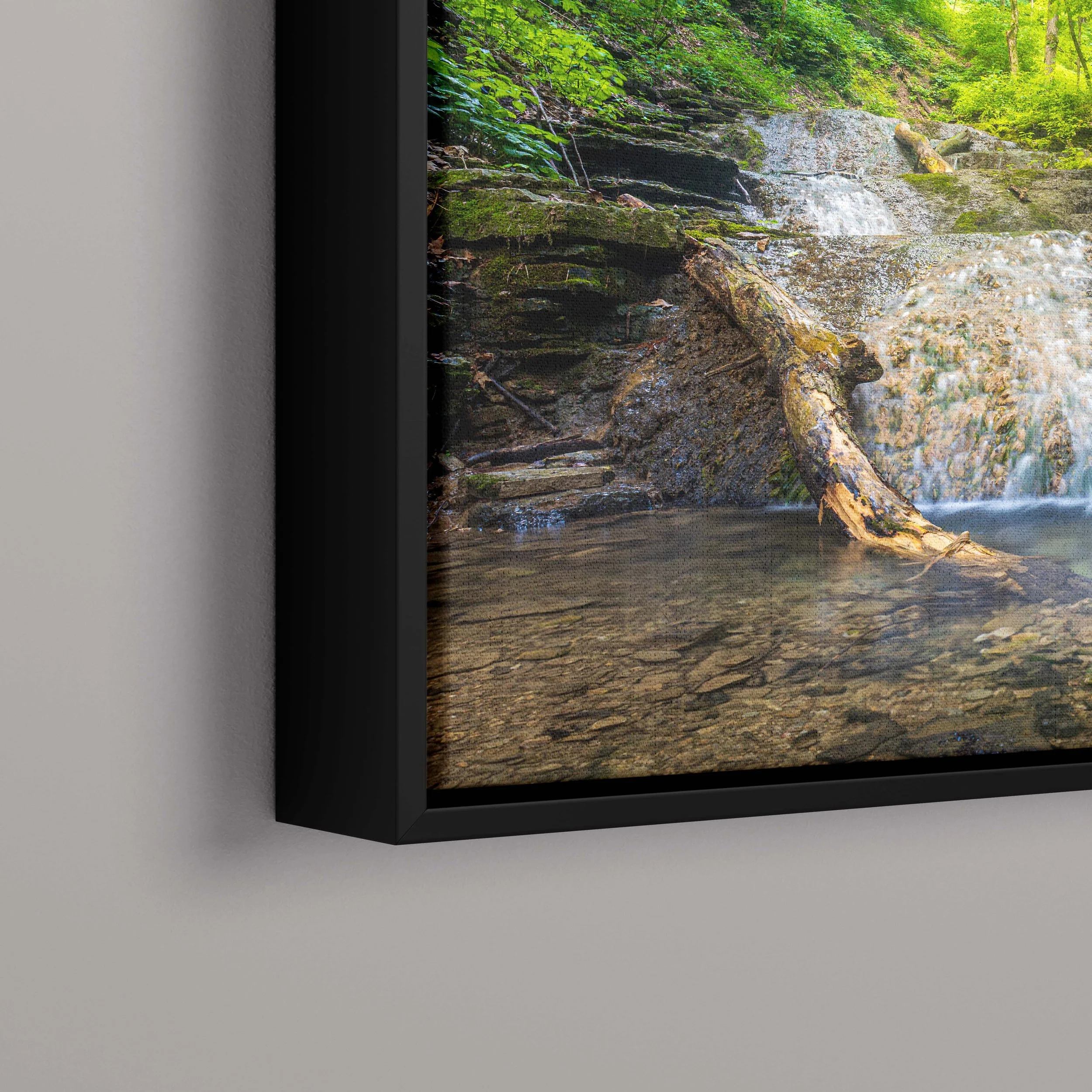 canvas close up.jpg