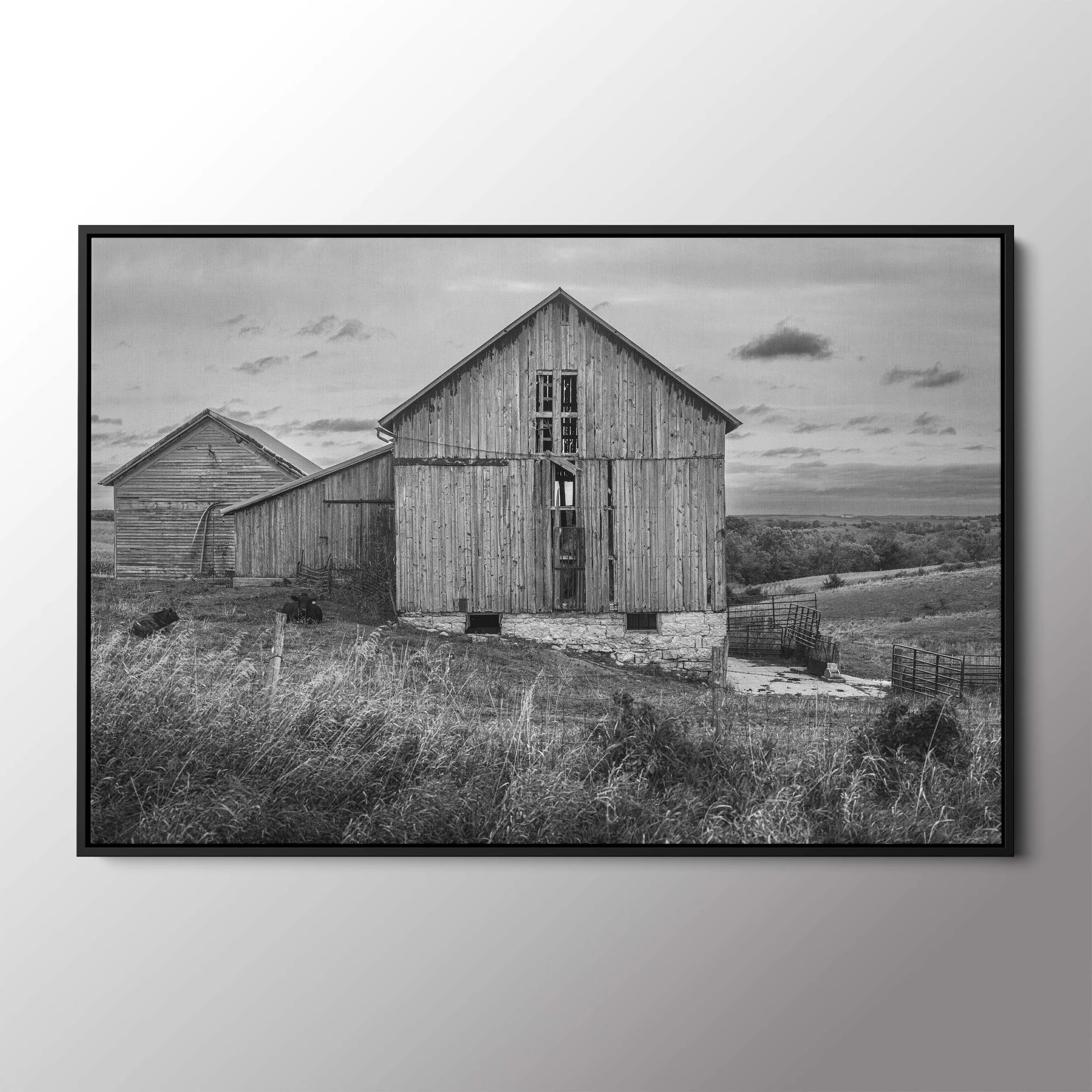 black float frame.jpg