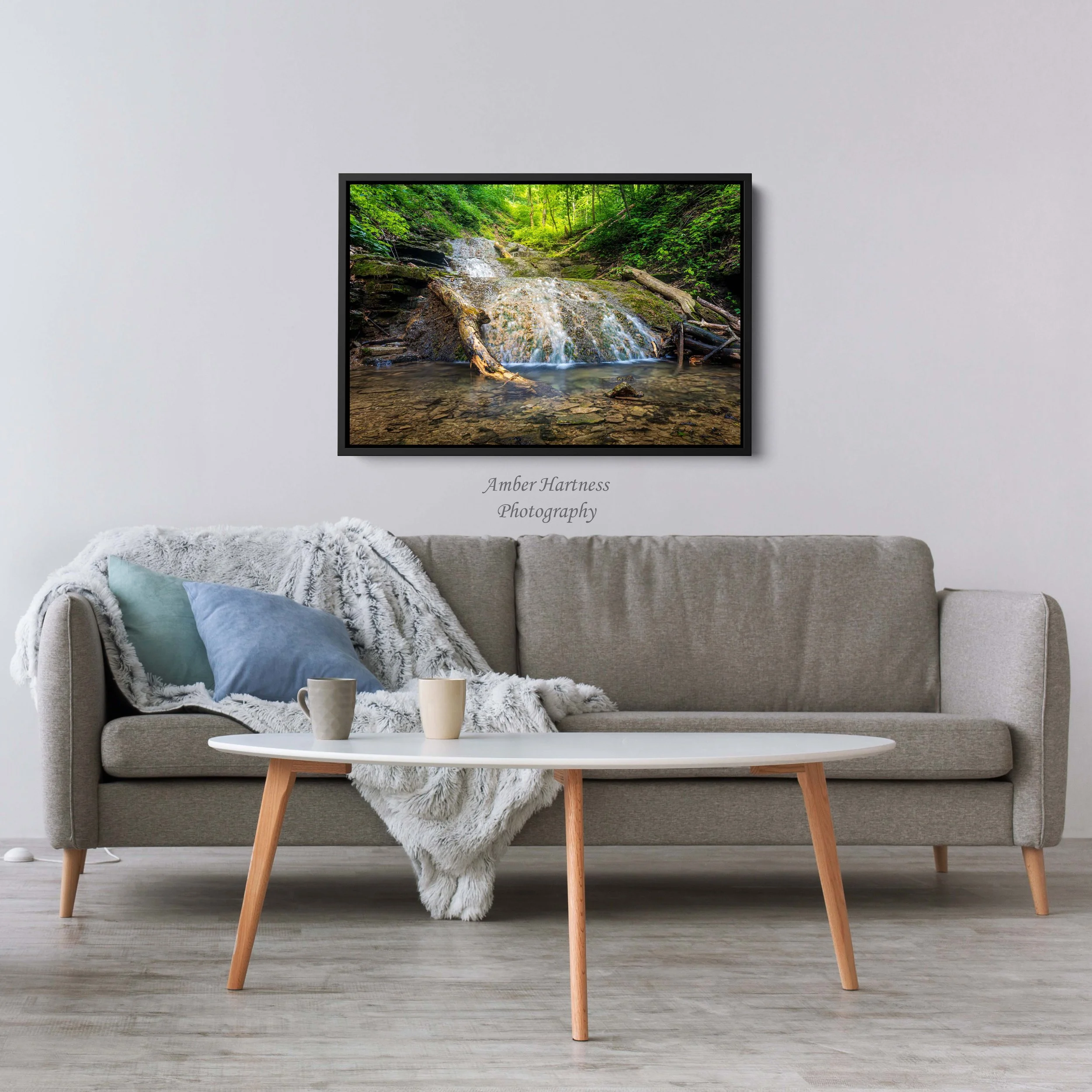 float frame living room.jpg
